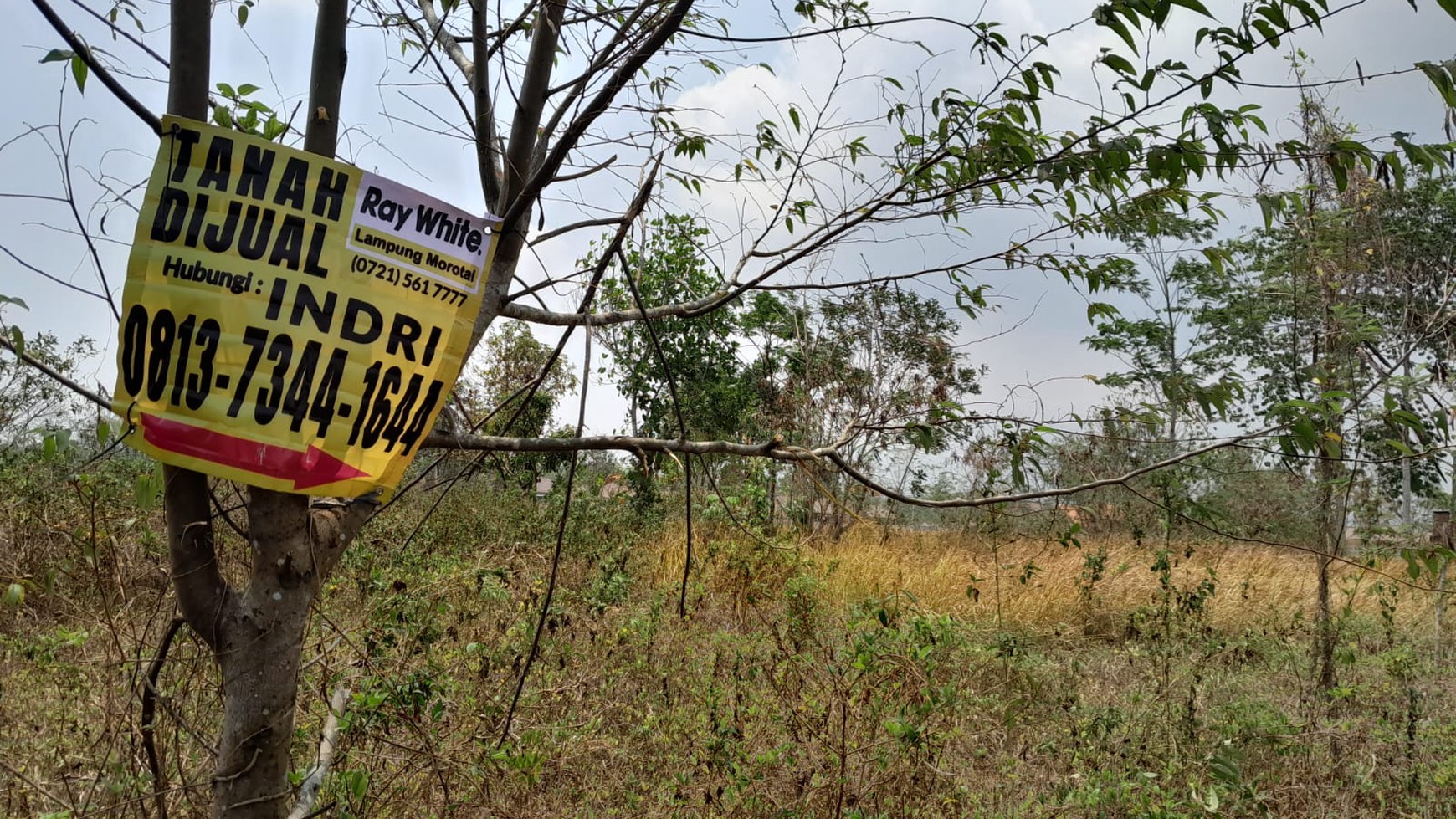 Tanah Pesawaran  Dijual  Cepat