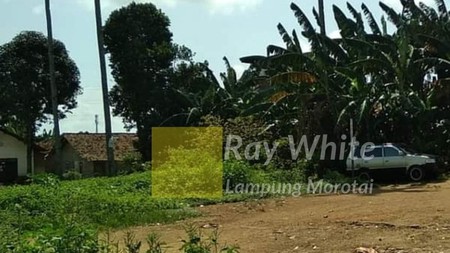 Dijual Tanah di Pemukiman Way Kandis Tanjung Senang