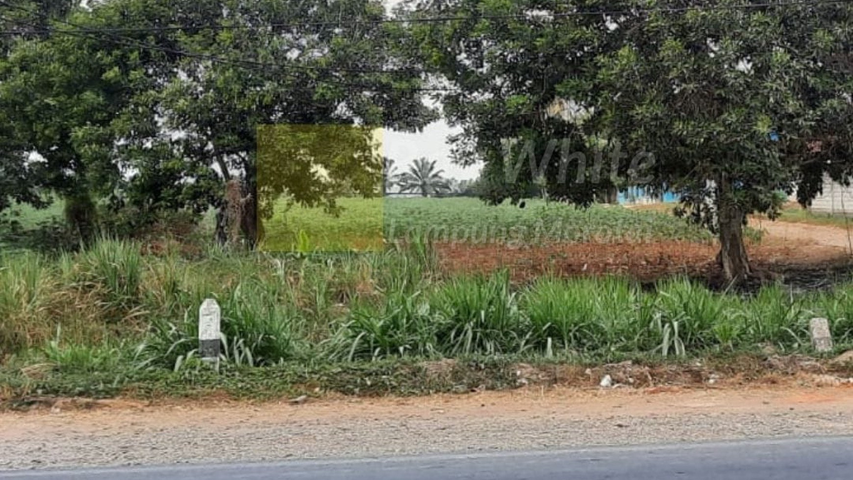 Dijual Tanah Mangku Jalan Siap Bangun ay