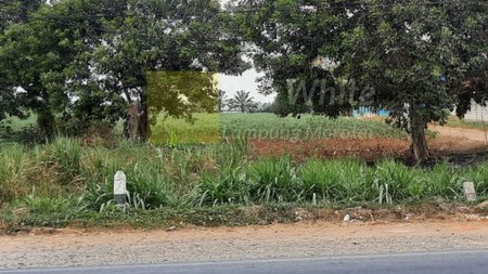 Dijual Rumah Siap Usaha