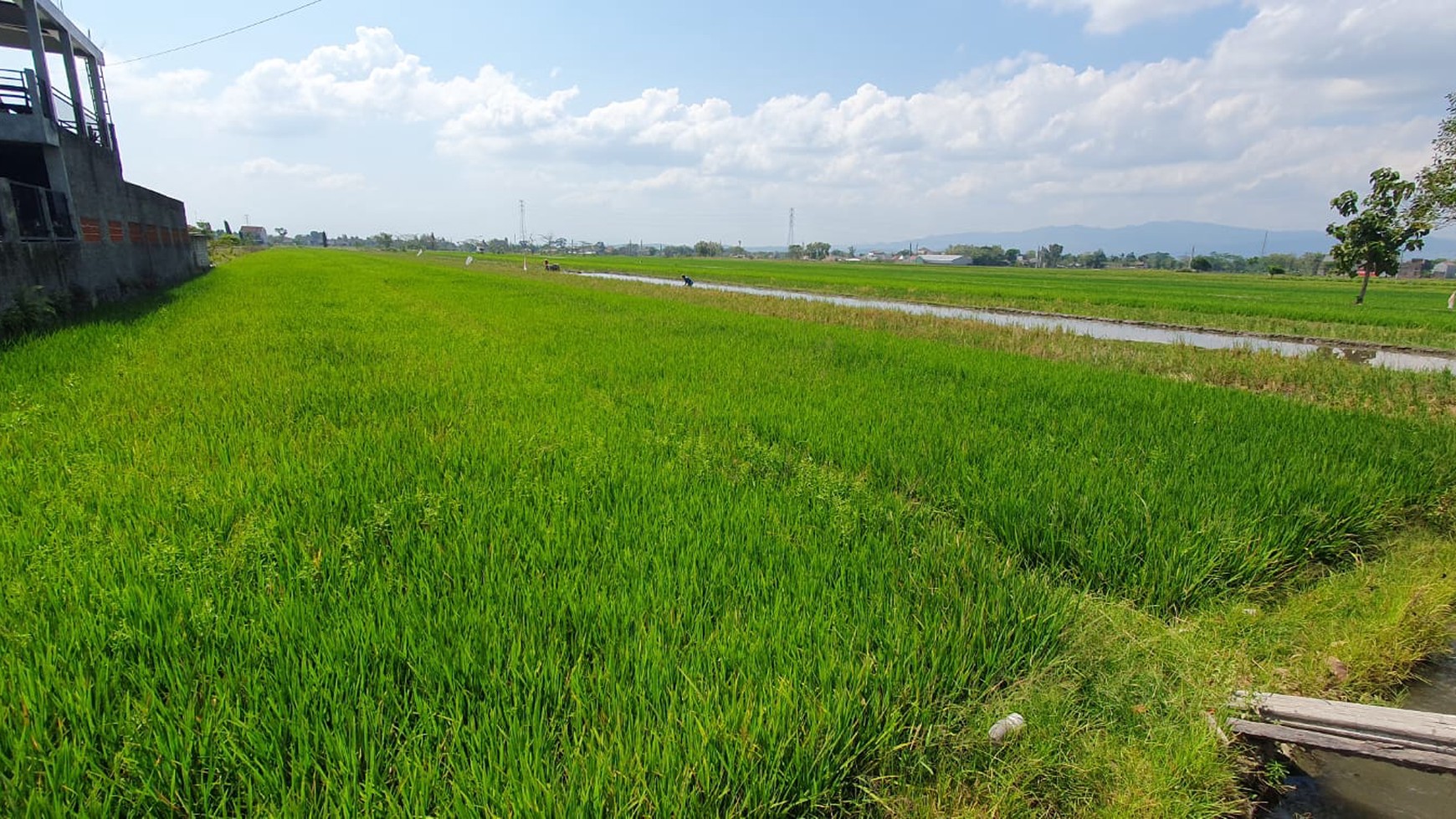 3 Tanah Sawah Cocok Untuk PerumahanDekat RSUP Dr Soeradji Klaten Selatan.