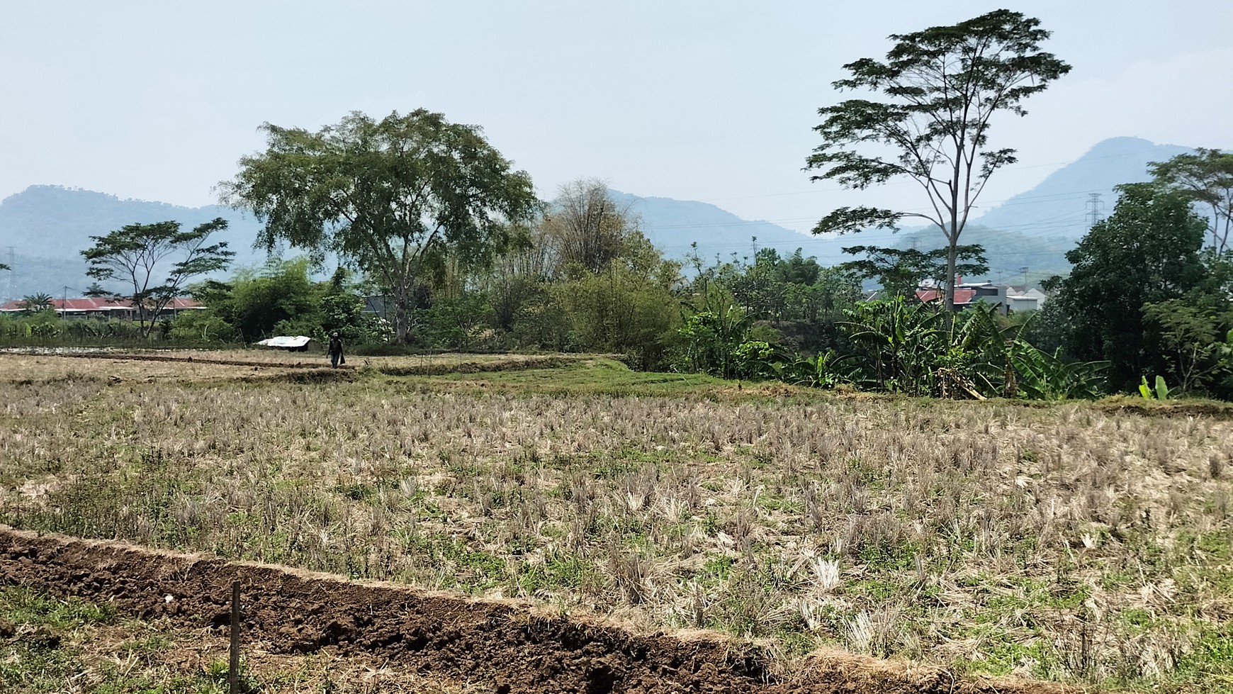 Tanah Citapen Dijual Lokasi Bagus