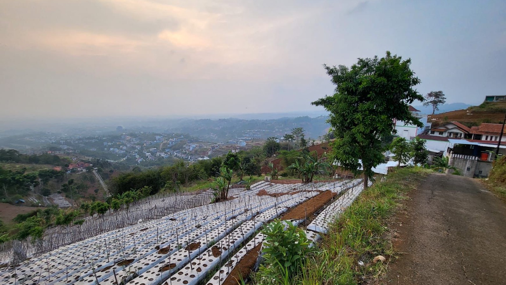 Tanah Istimewa View Bandung di Bojong Koneng Atas Dago Pakar Cimenyan Bandung