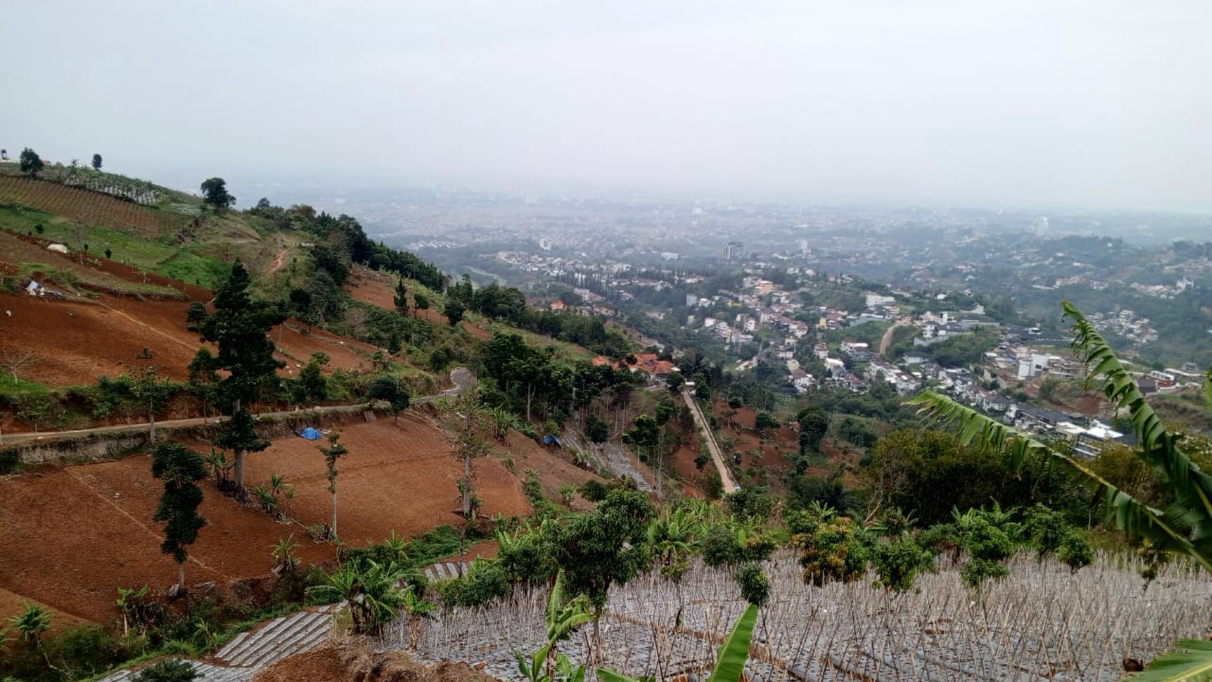 Tanah Istimewa View Bandung di Bojong Koneng Atas Dago Pakar Cimenyan Bandung