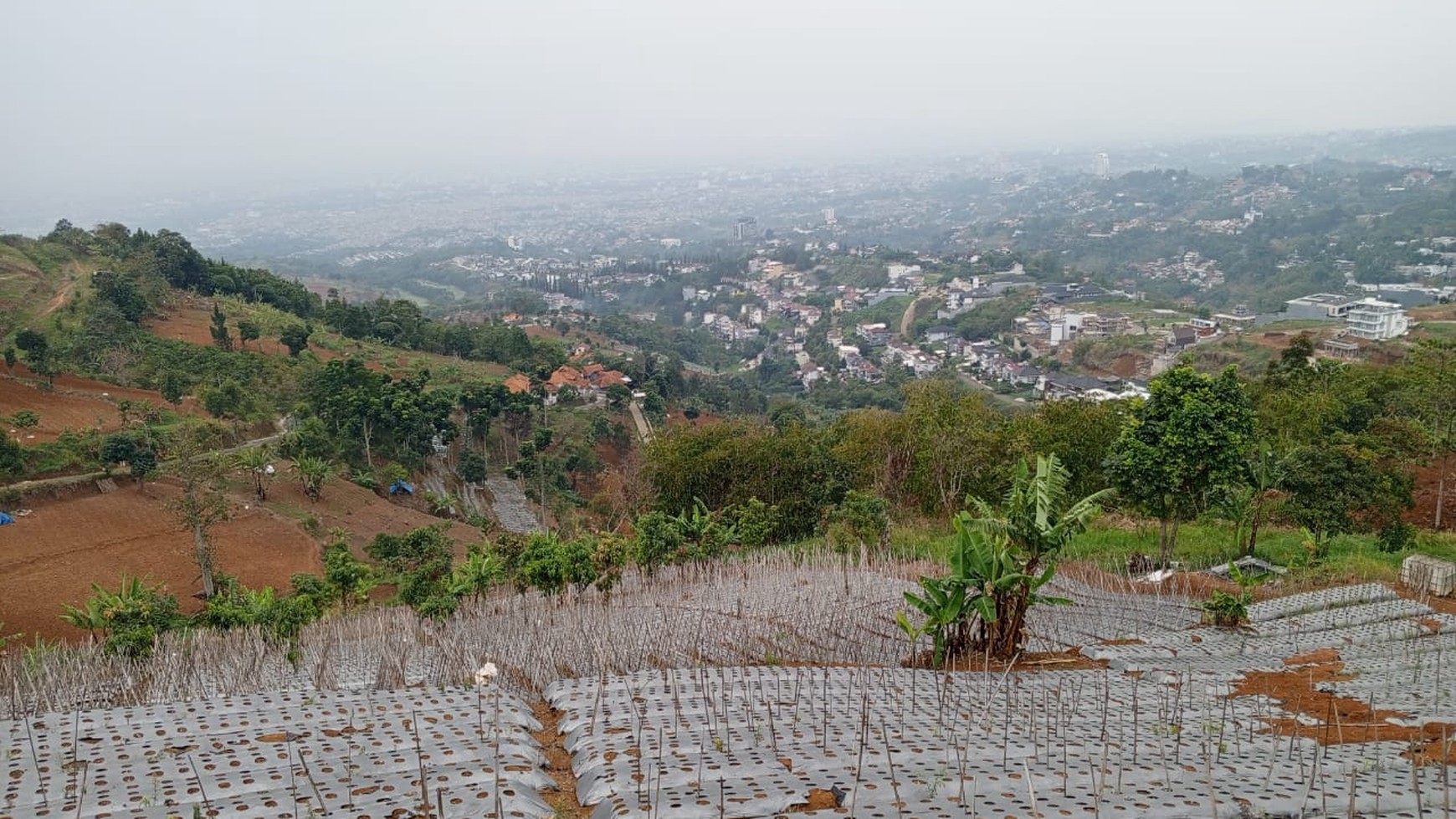 Tanah Istimewa View Bandung di Bojong Koneng Atas Dago Pakar Cimenyan Bandung