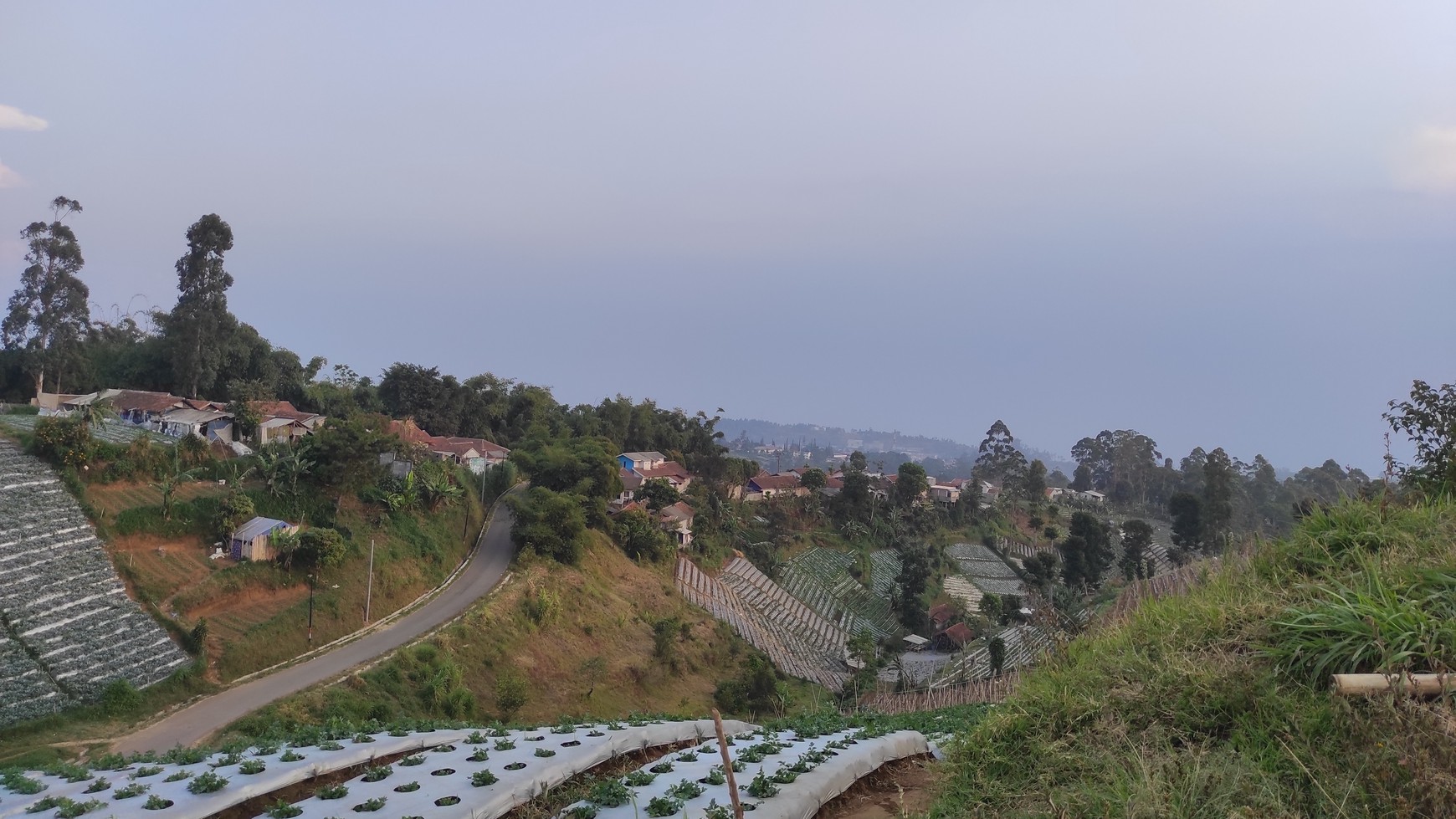 Jual Tanah Kebun dekat Dusun Bambu