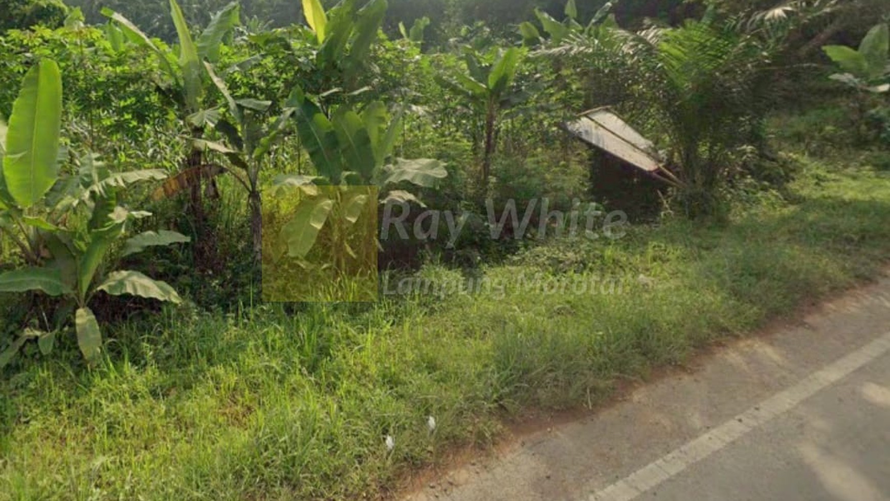 Dijual Tanah Pinggir Jalan Raya Katibung Lampung Selatan harga terjangkau