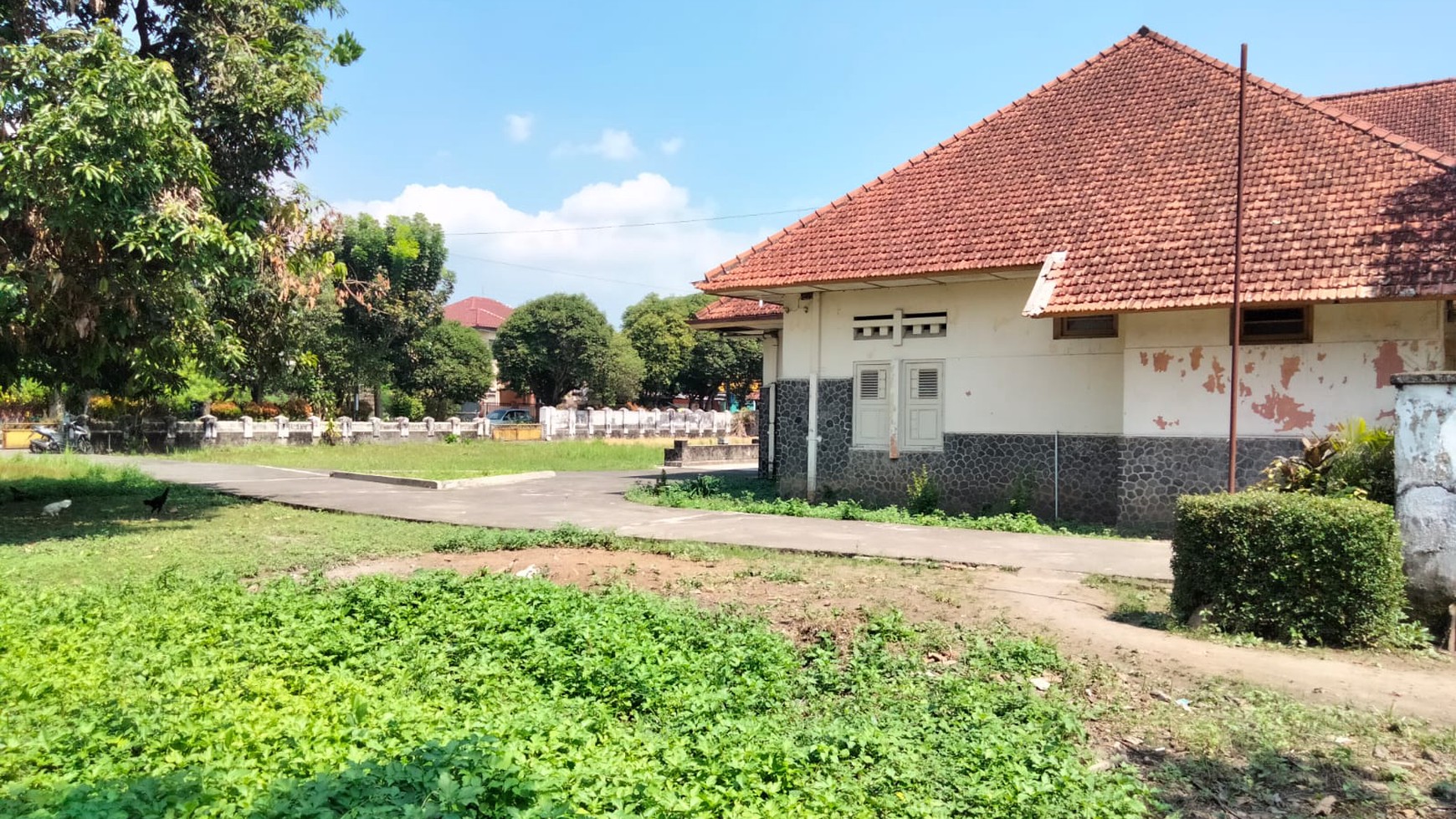 Rumah Klasik Tengah Kota Yogyakarta Di Atas Tanah Seluas 4.213 Meter Persegi Yogyakarta