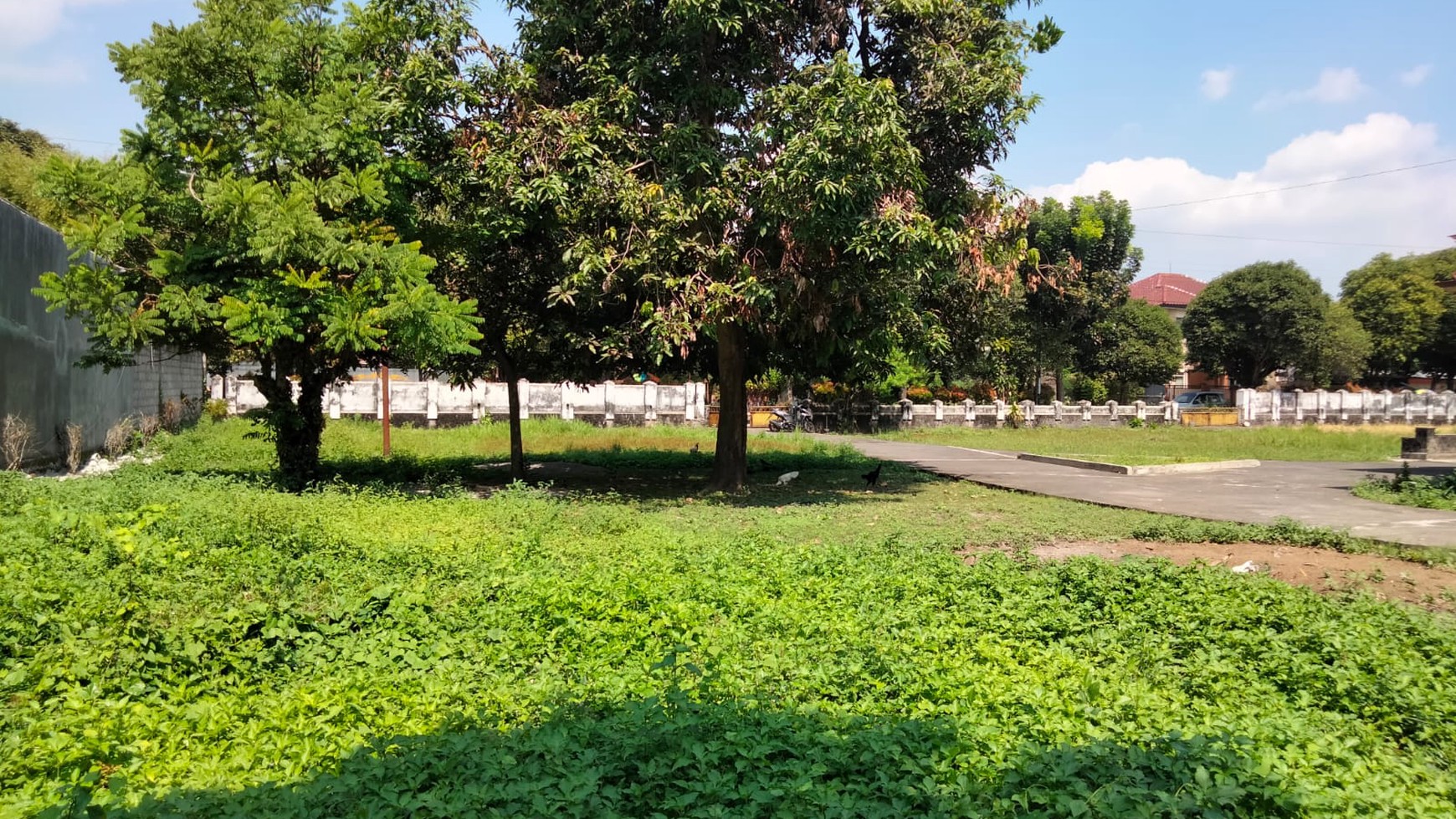 Rumah Klasik Tengah Kota Yogyakarta Di Atas Tanah Seluas 4.213 Meter Persegi Yogyakarta