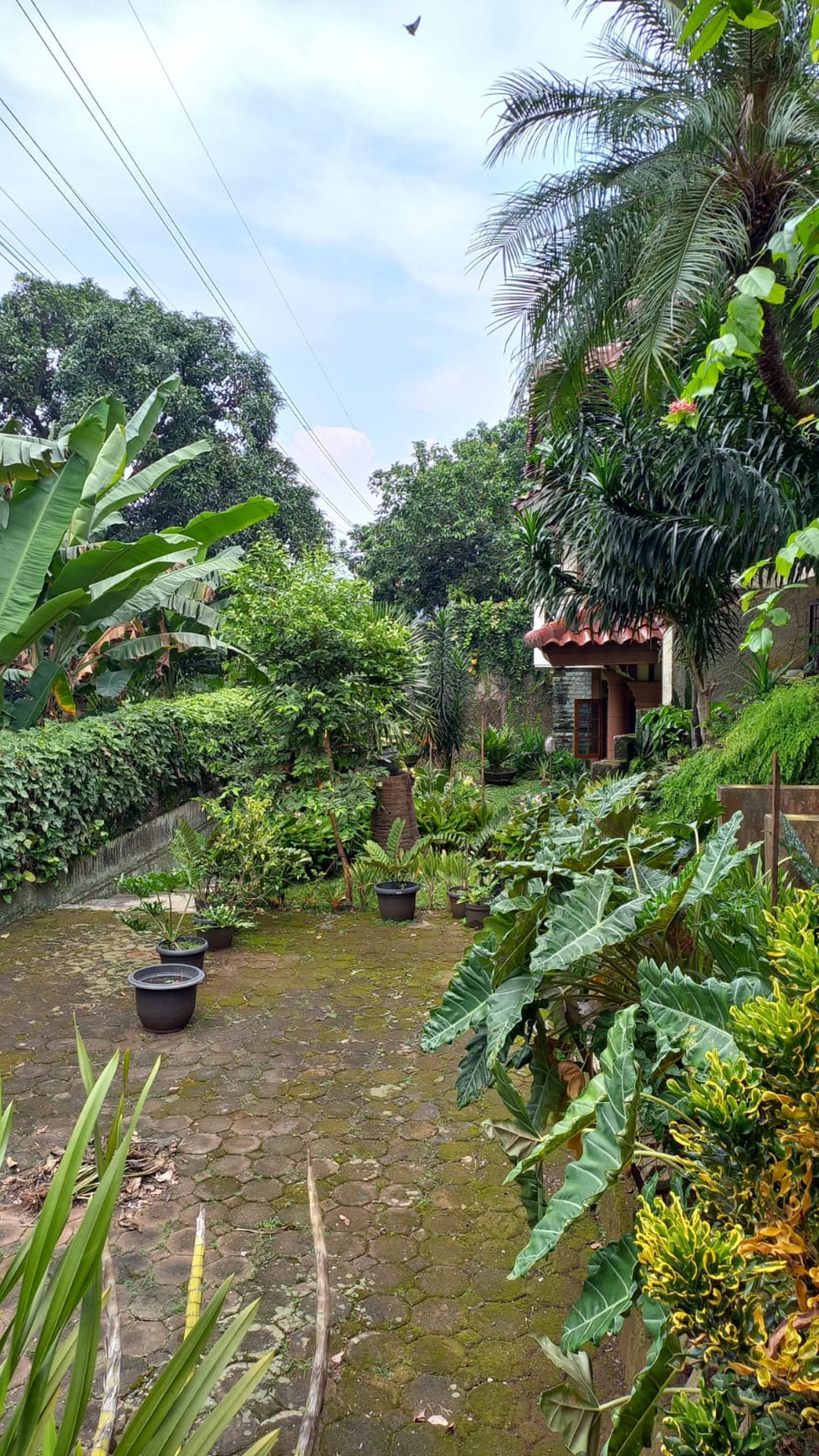 Rumah unik Cempaka Hijau Bintaro Ciputat TangSel.