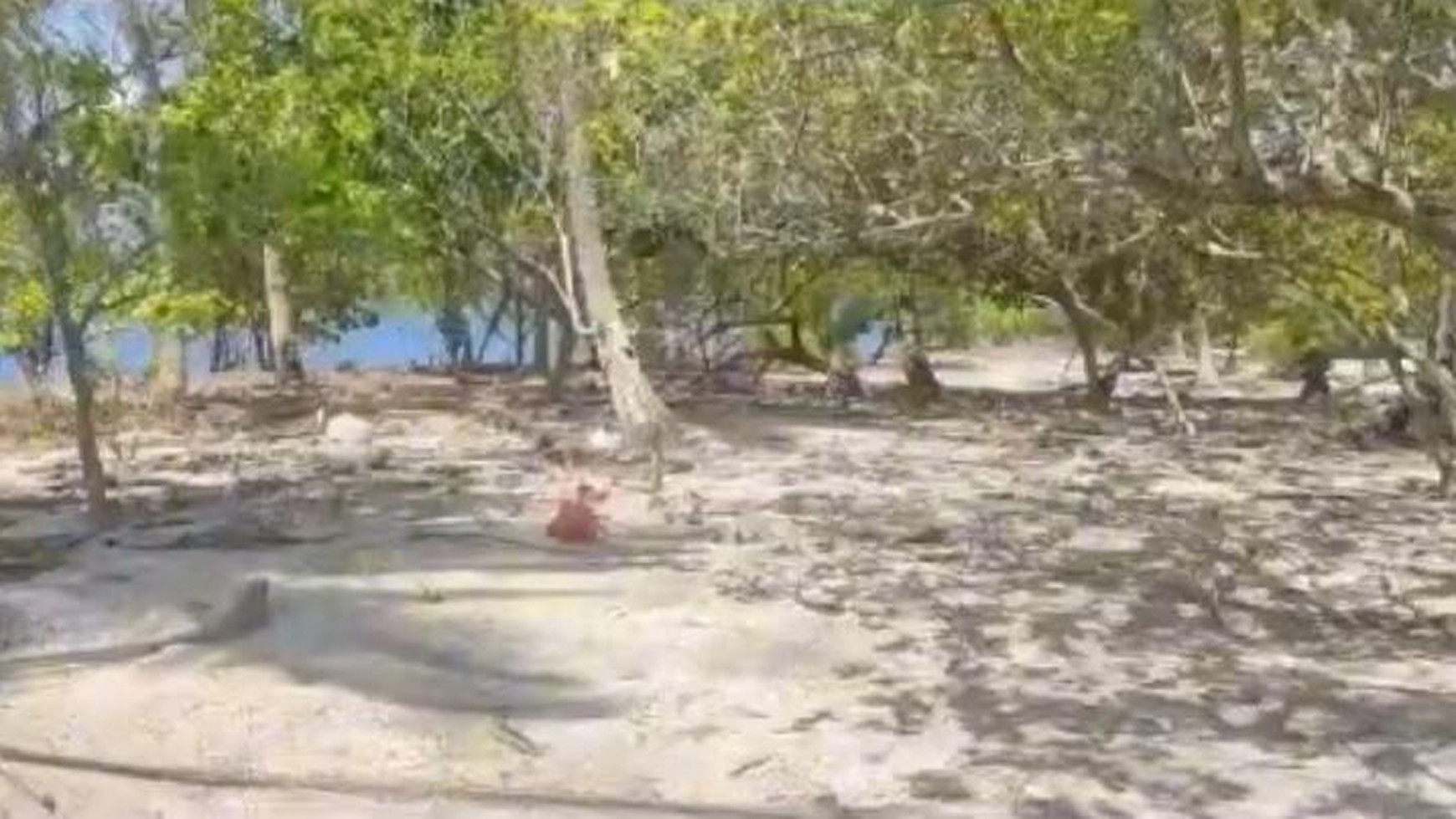 Dijual Tanah Pantai Pulau Pahawang Ketapang Pesawaran Lampung