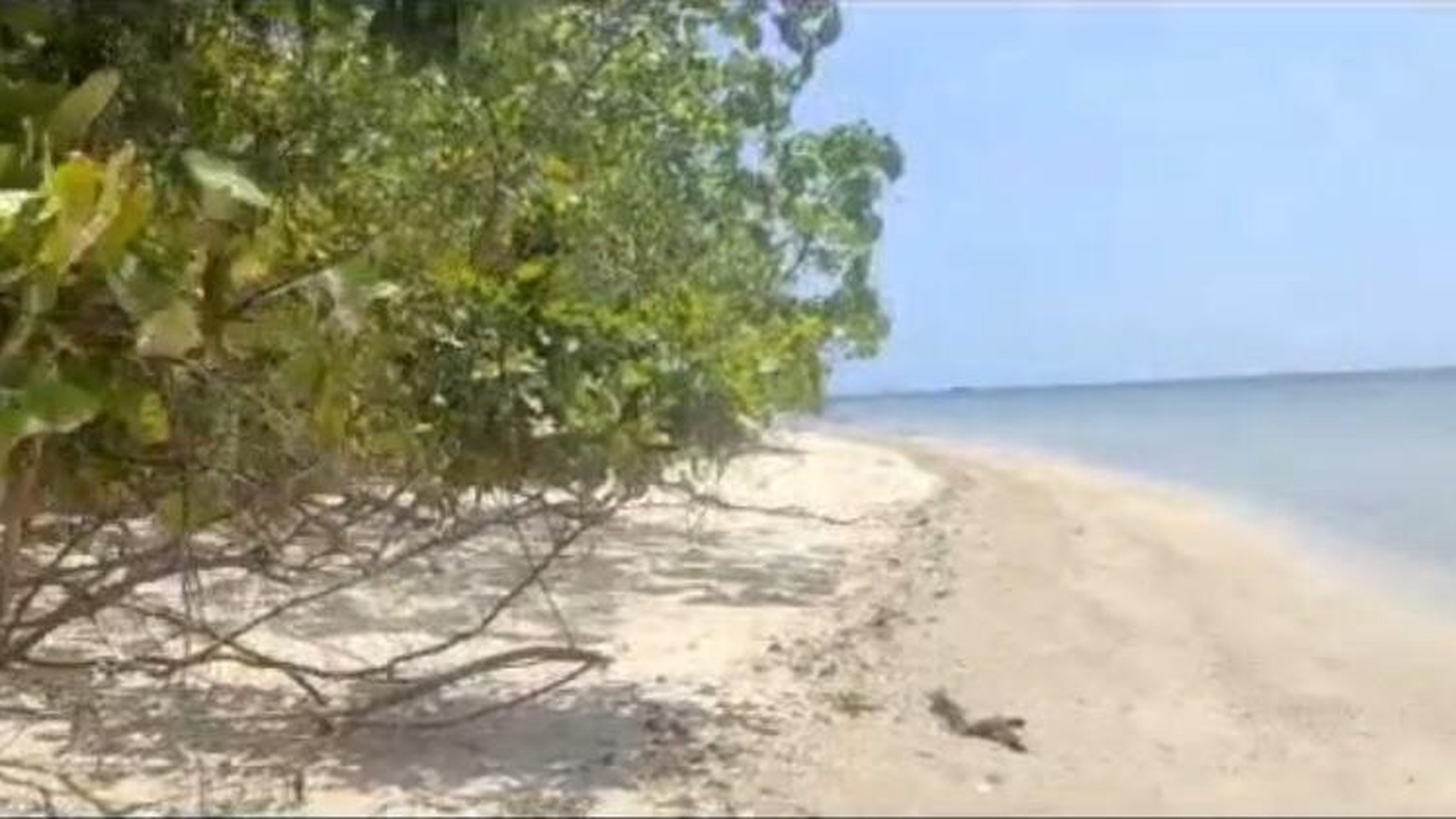 Dijual Tanah Pantai Pulau Pahawang Ketapang Pesawaran Lampung