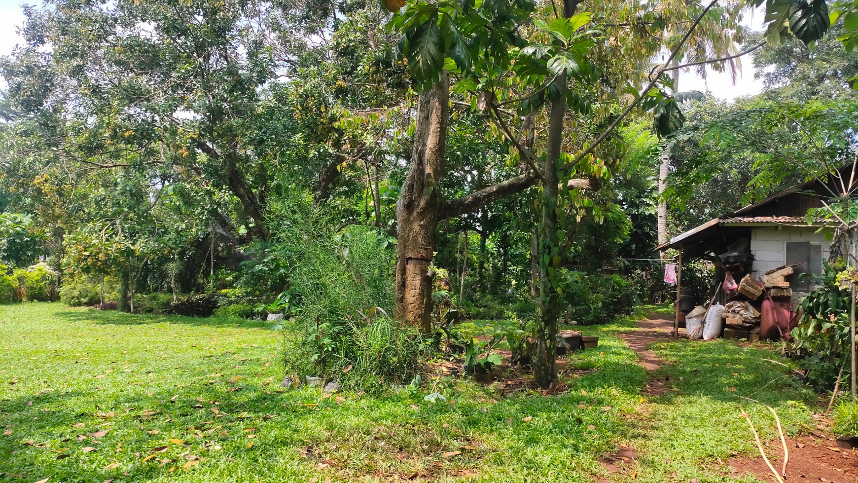 Tanah Luas 3200m2 Kesempatan Langka di Bogor