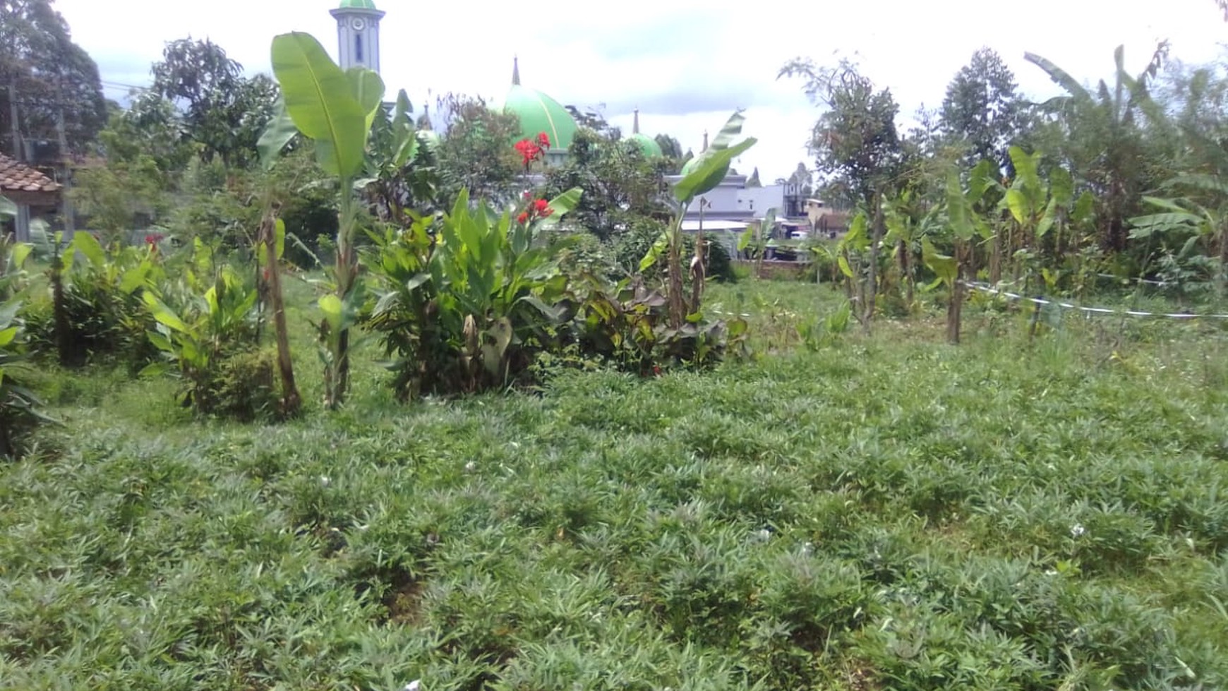 Simpang samarang raya garut, tanah pinggir jalan utama