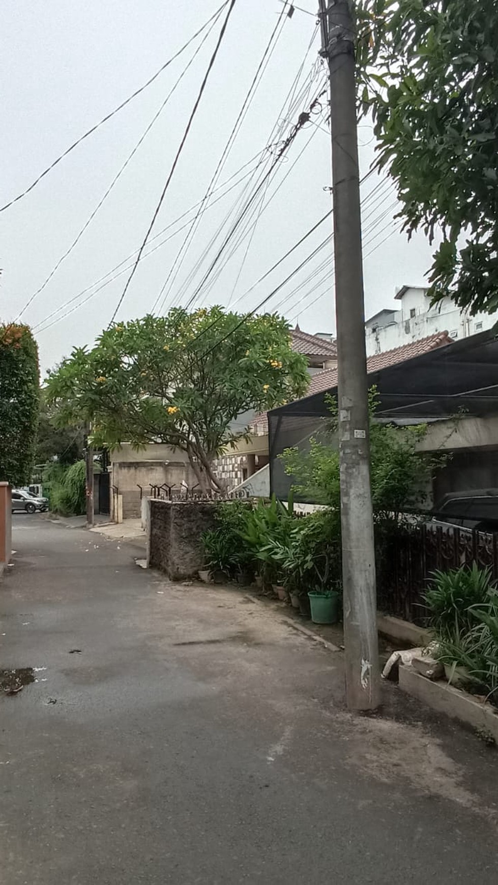 Rumah Bagus DI Komp DPR Kemanggisan Palmerah Jakarta Barat