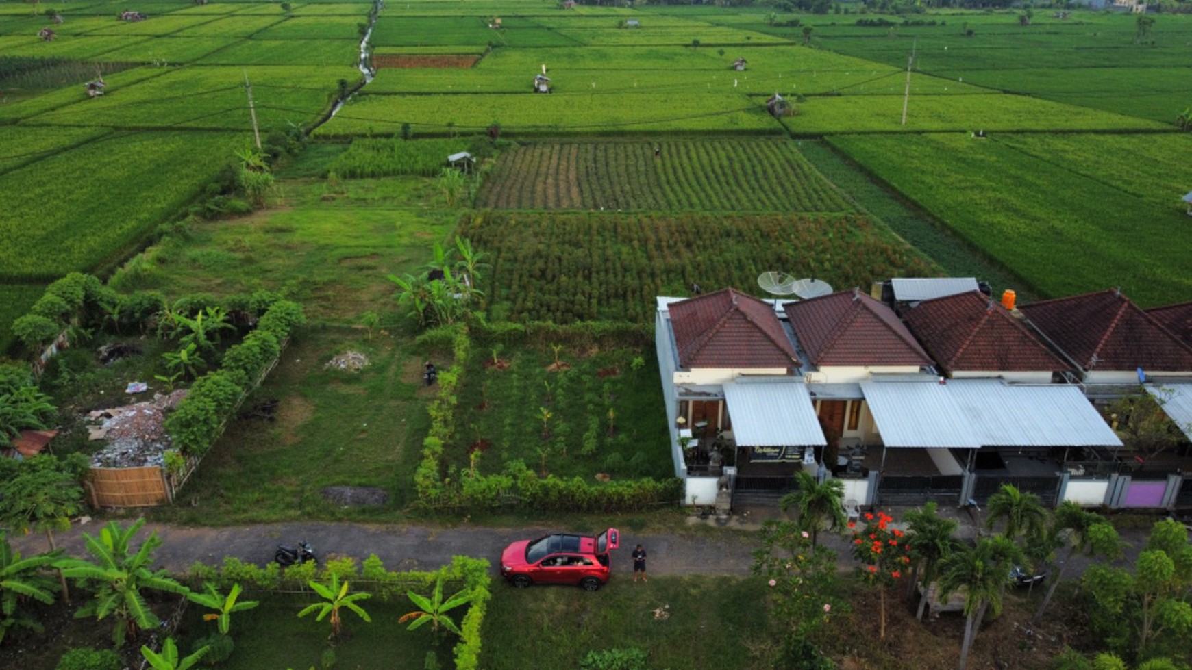 Freehold Land For Sale In Lovina Area With Rice Field And Mountain Views