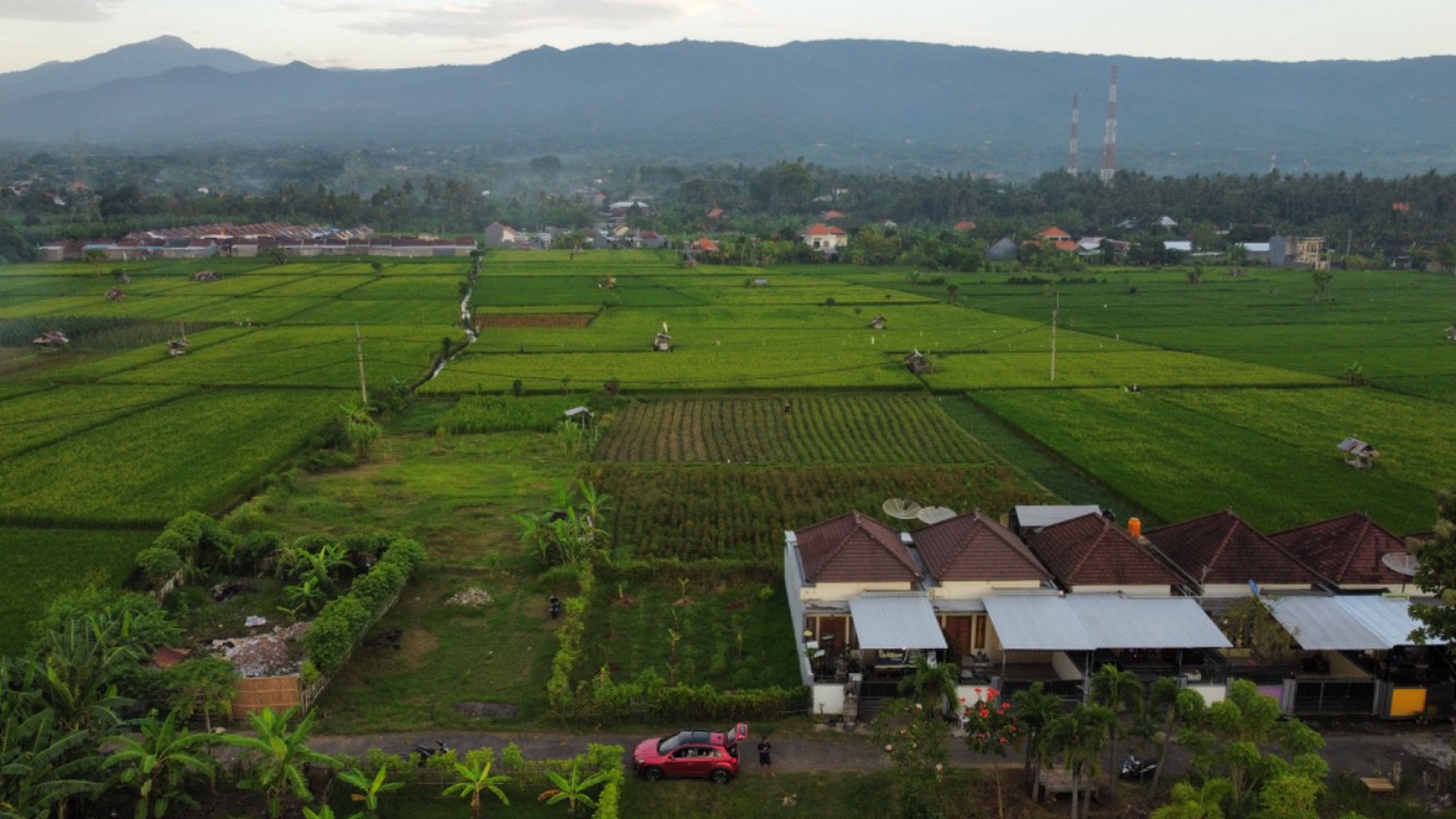 Freehold Land For Sale In Lovina Area With Rice Field And Mountain Views