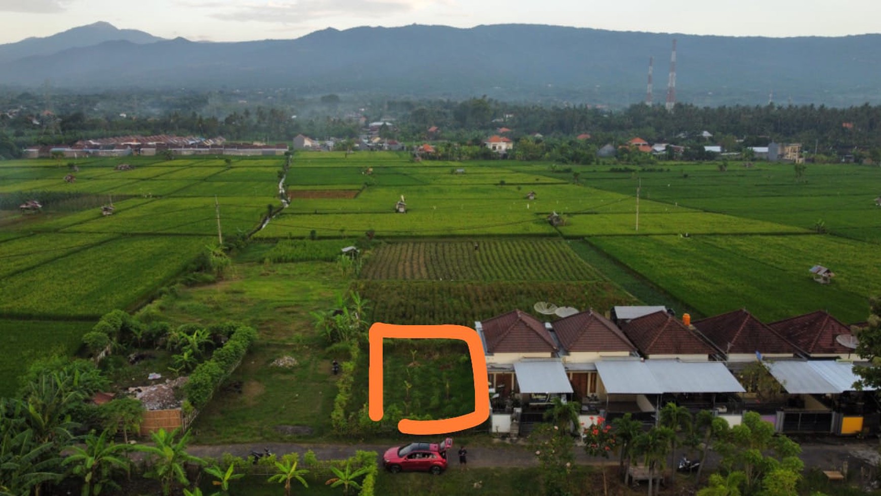 Freehold Land For Sale In Lovina Area With Rice Field And Mountain Views