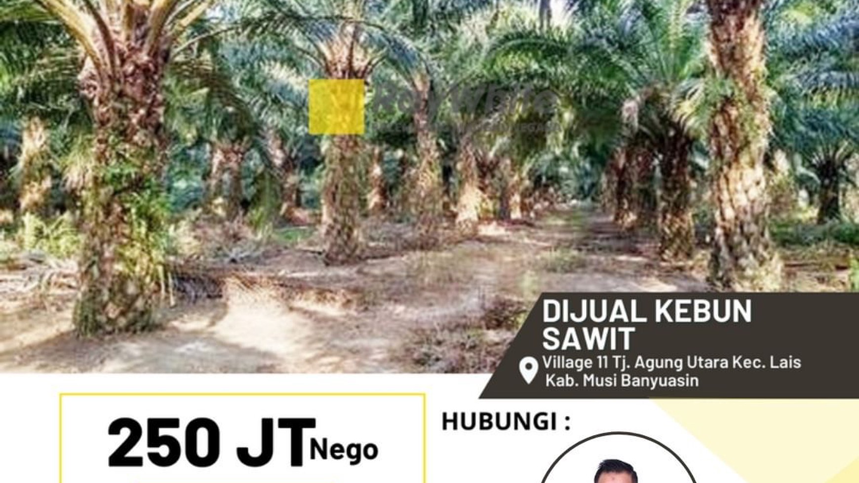 DI JUAL TANAH+KEBUN SAWIT 