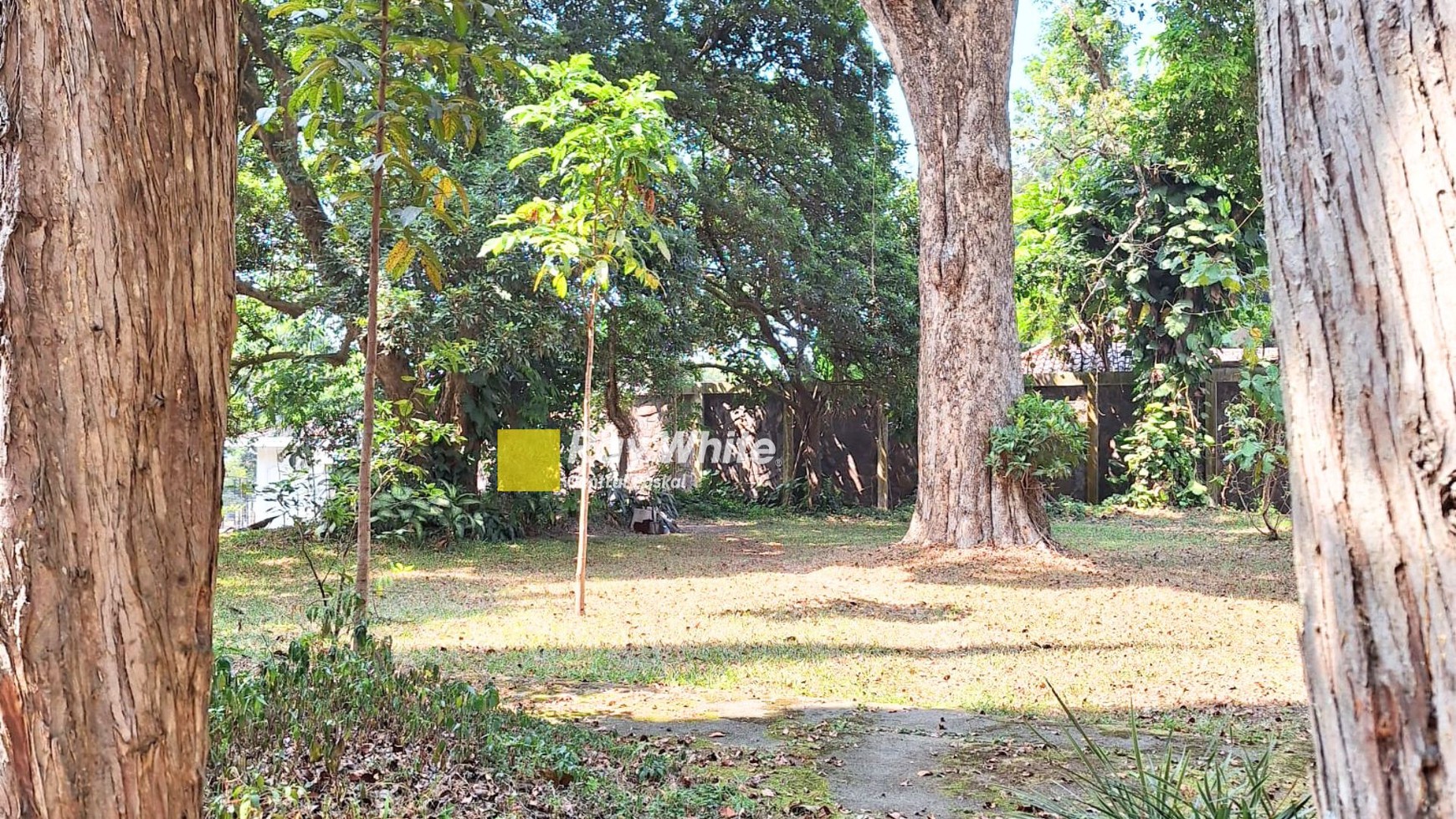 Ruang Usaha Arsitektur Jepang di Setiabudi Kota Bandung