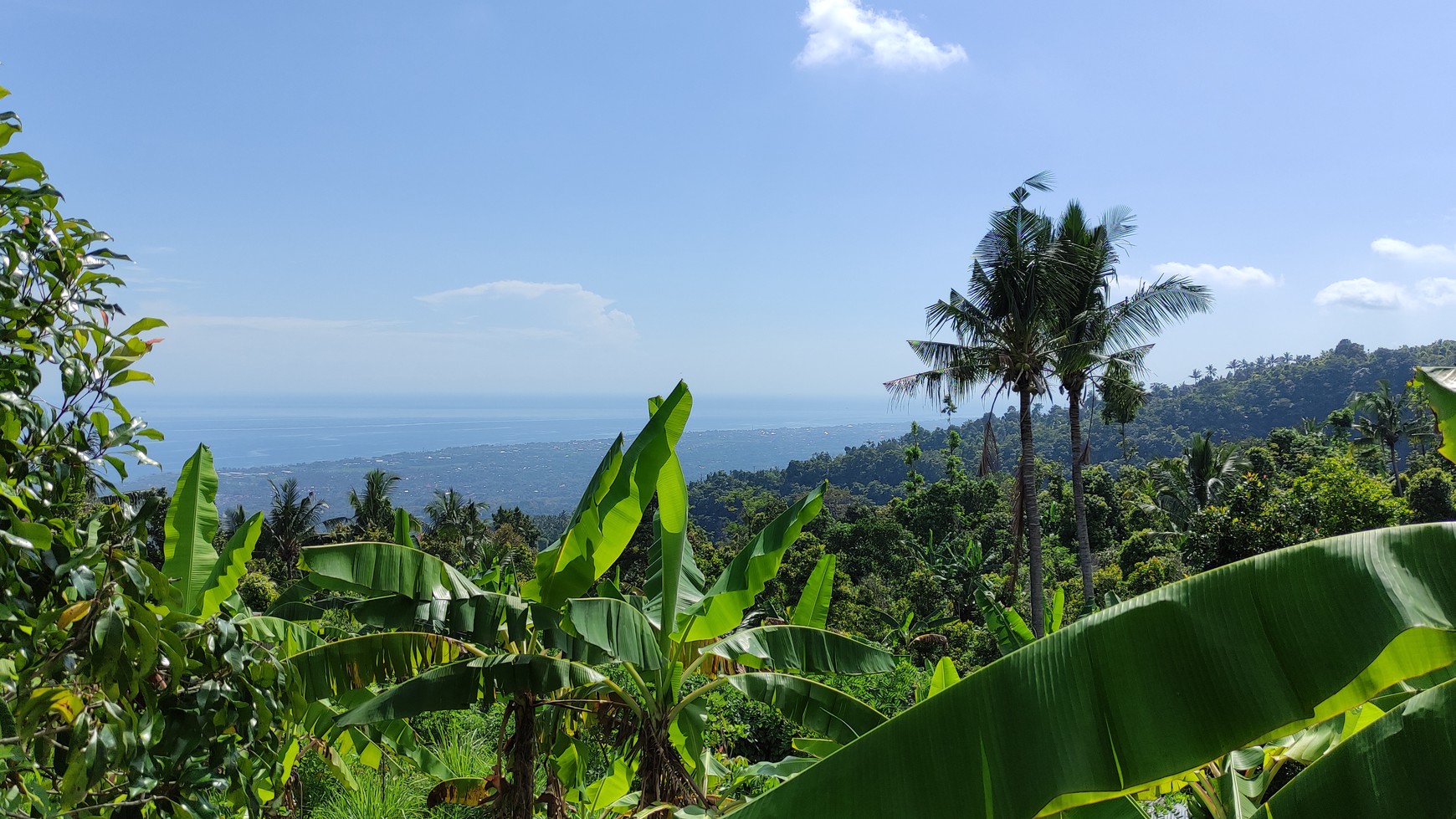 OCEAN VIEW FREEHOLD LAND FOR SALE IN LOVINA