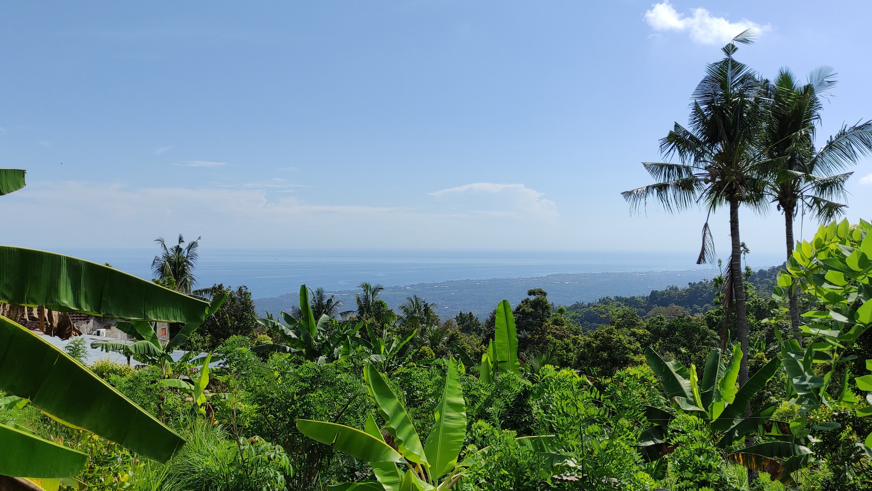 OCEAN VIEW FREEHOLD LAND FOR SALE IN LOVINA