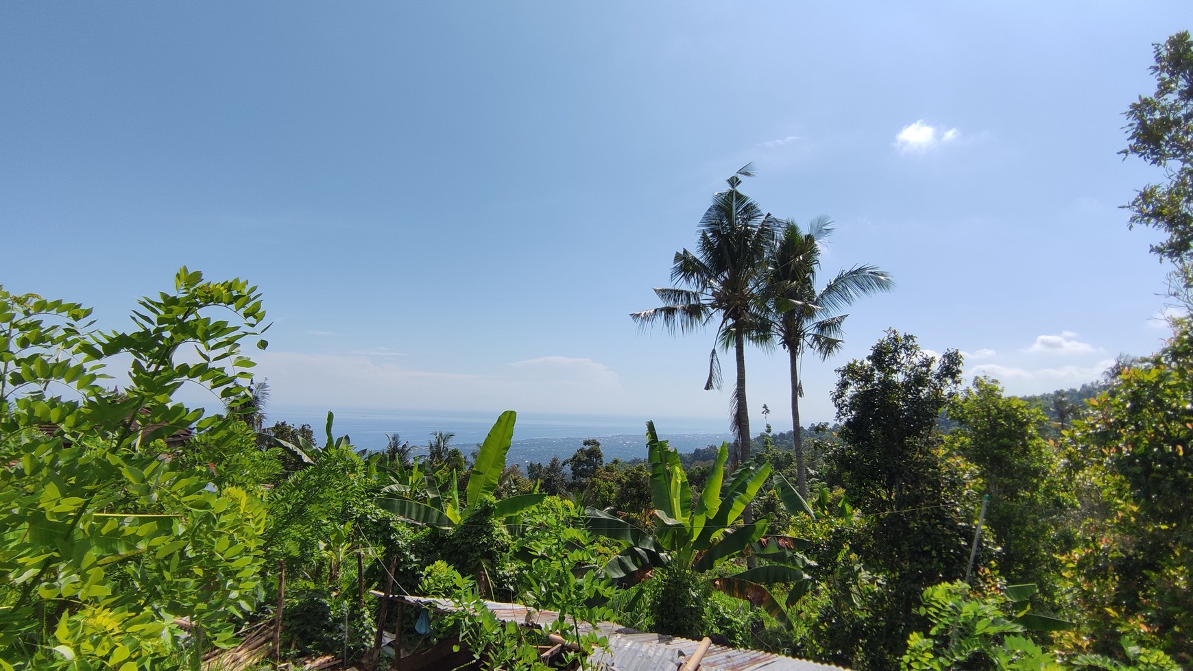 OCEAN VIEW FREEHOLD LAND FOR SALE IN LOVINA