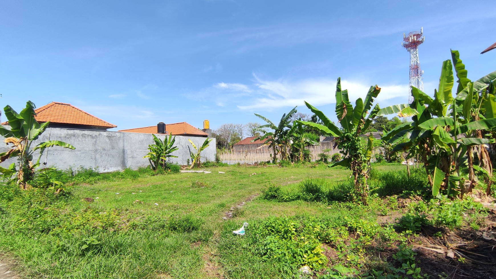 STRATEGIC LOCATION FREEHOLD LAND FOR SALE IN LOVINA