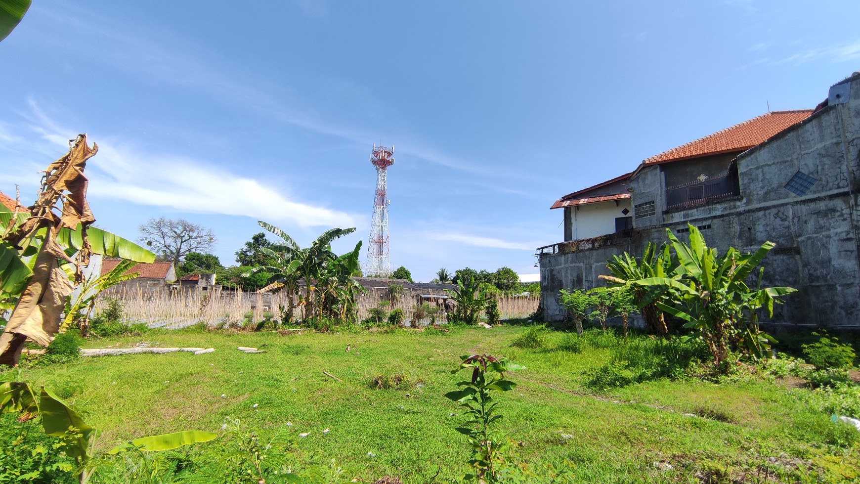 STRATEGIC LOCATION FREEHOLD LAND FOR SALE IN LOVINA