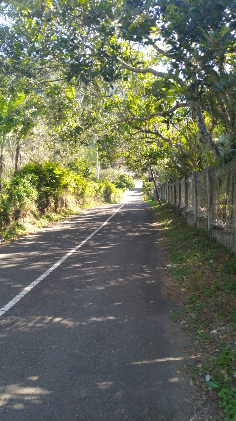 1566. Dijual Villa Jl Rego Lenong, dsn Kemloko Trawas