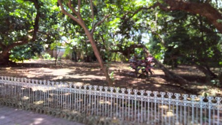 Tanah  komercial  di  jalan  besar antara semarang  - Solo, cocok  buat  hotel rumah sakit dan  bisnis lainya 