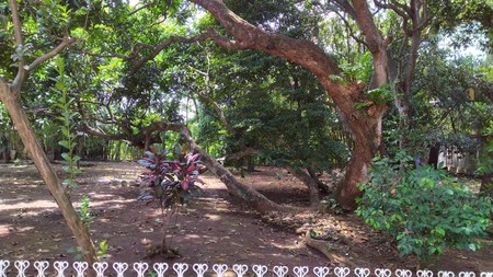 Tanah  komercial  di  jalan  besar antara semarang  - Solo, cocok  buat  hotel rumah sakit dan  bisnis lainya 