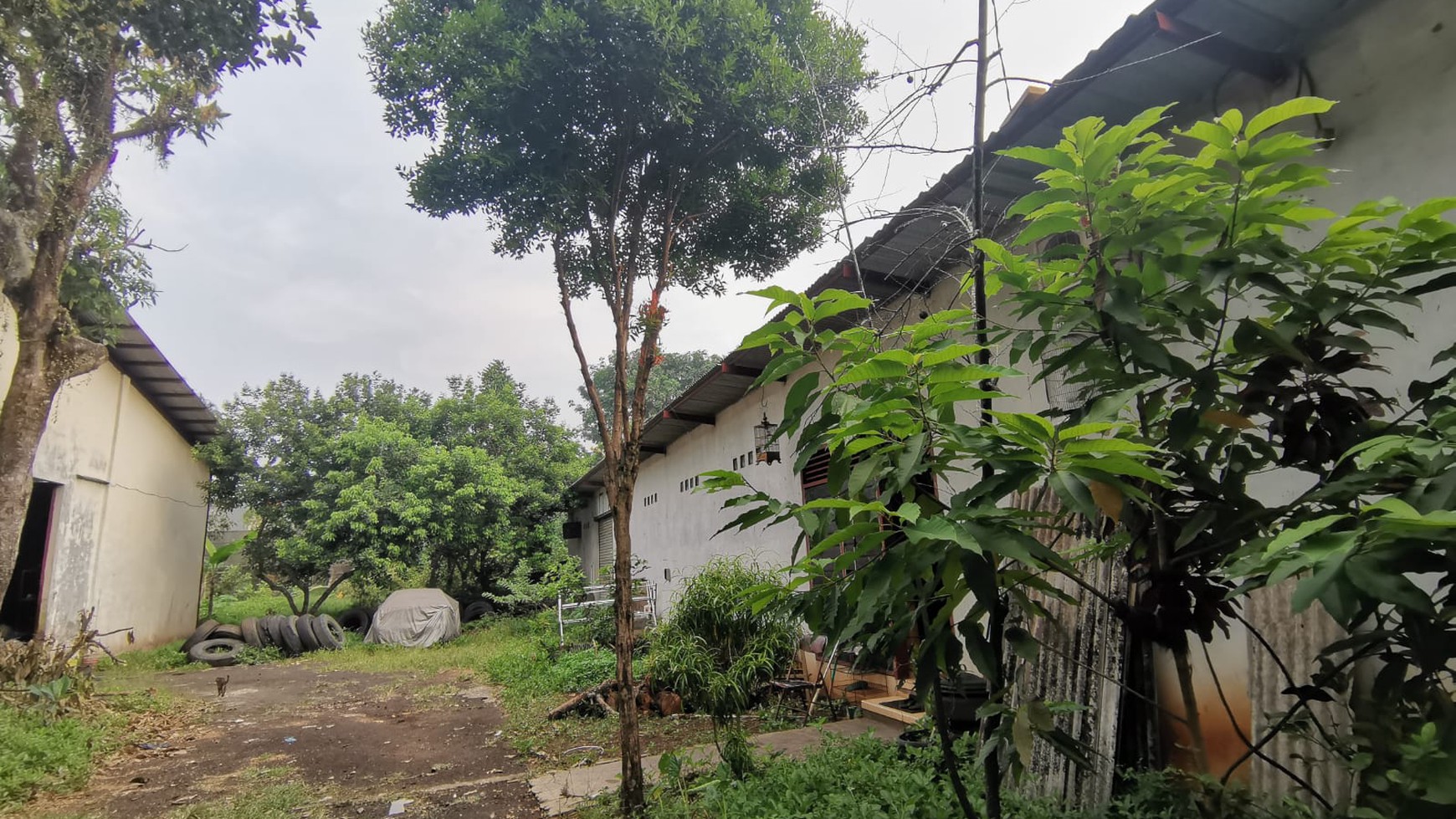 TANAH BONUS BANGUNAN DI BSD SEKTOR 14.6, (di belakang Harvest Serpong Residence, masuk dari Nusa Loka)