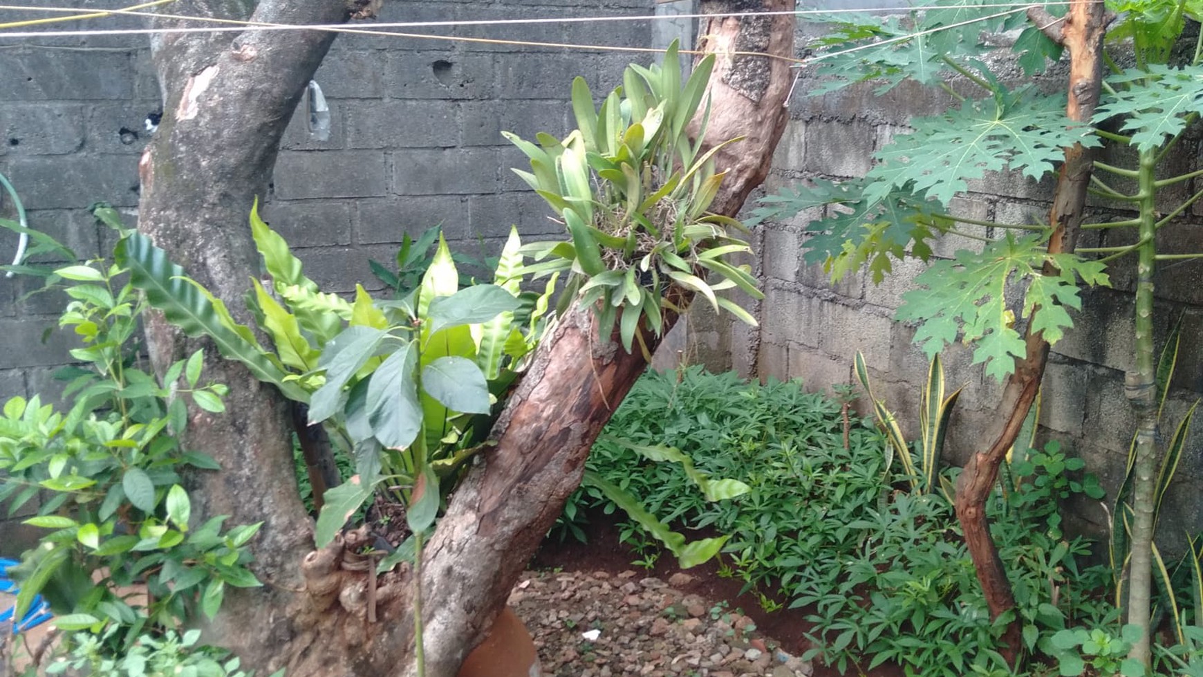 Rumah Asri Diarea Pondok Jaya Dekat Kampus STAn Stasiun Comutter & Akses Toll 