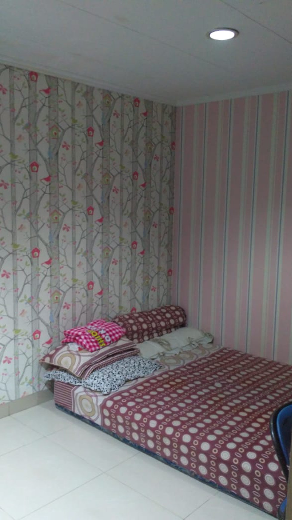 Rumah Asri Diarea Pondok Jaya Bintaro Lingkungan Kost Dekat Kampus STAN