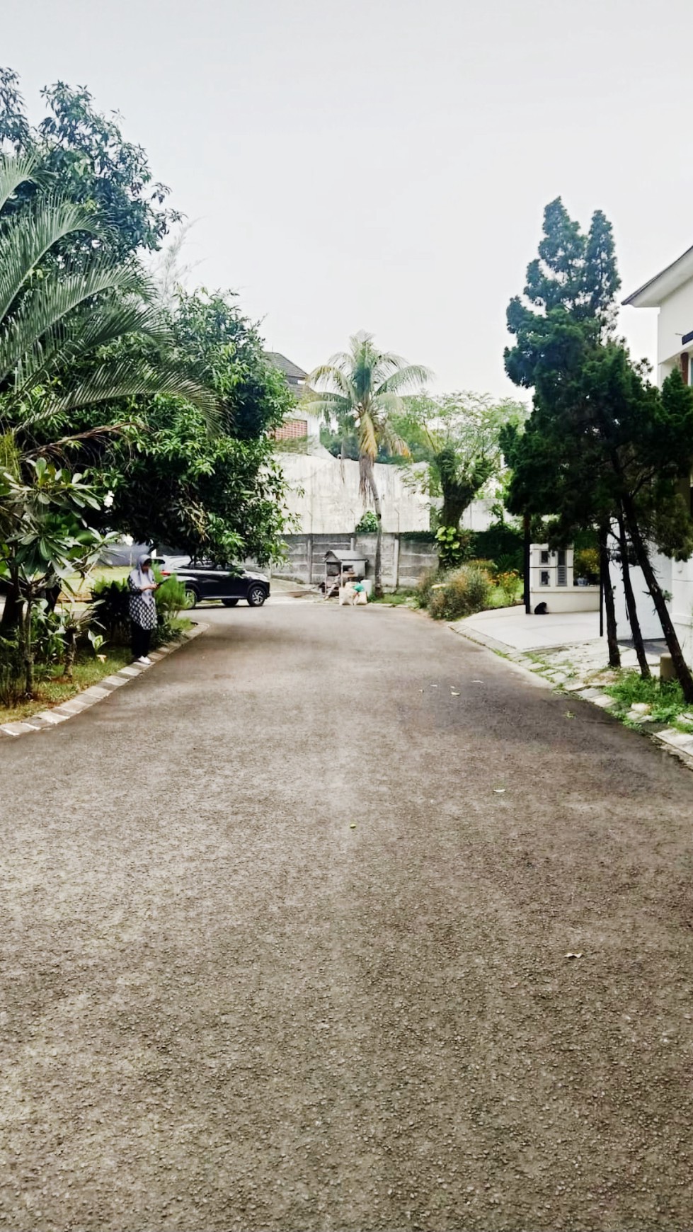 Rumah Baru Gaya Tropis di Puri Mediteran, Puri Bintaro, Bintaro Jaya Sektor 9