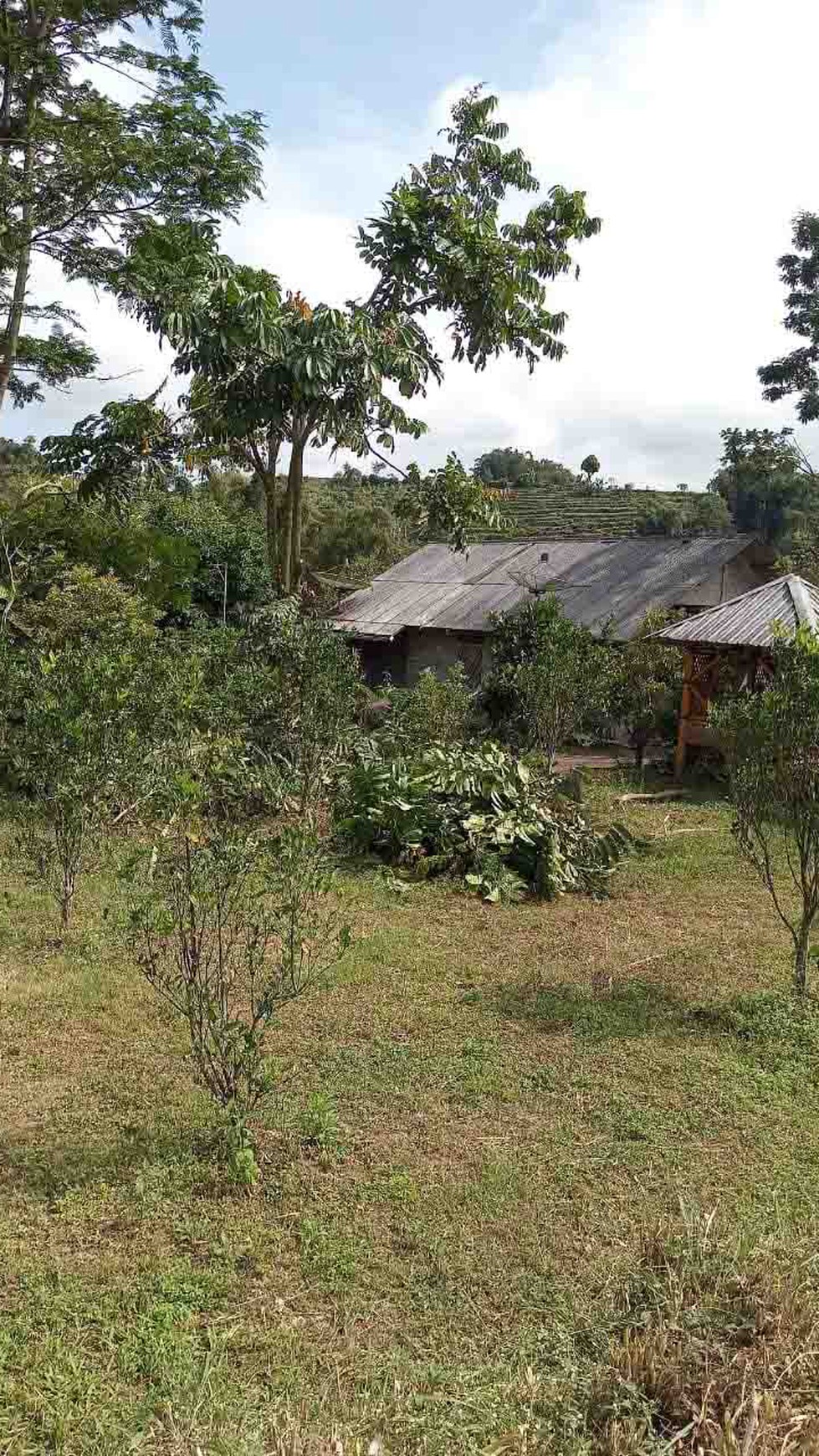 Tanah di Dusun Bunder Kel.Tawangsari Pujon - Malang, Lokasi di ketinggian 1000 mdpl, Pemandangan indah pegunungan