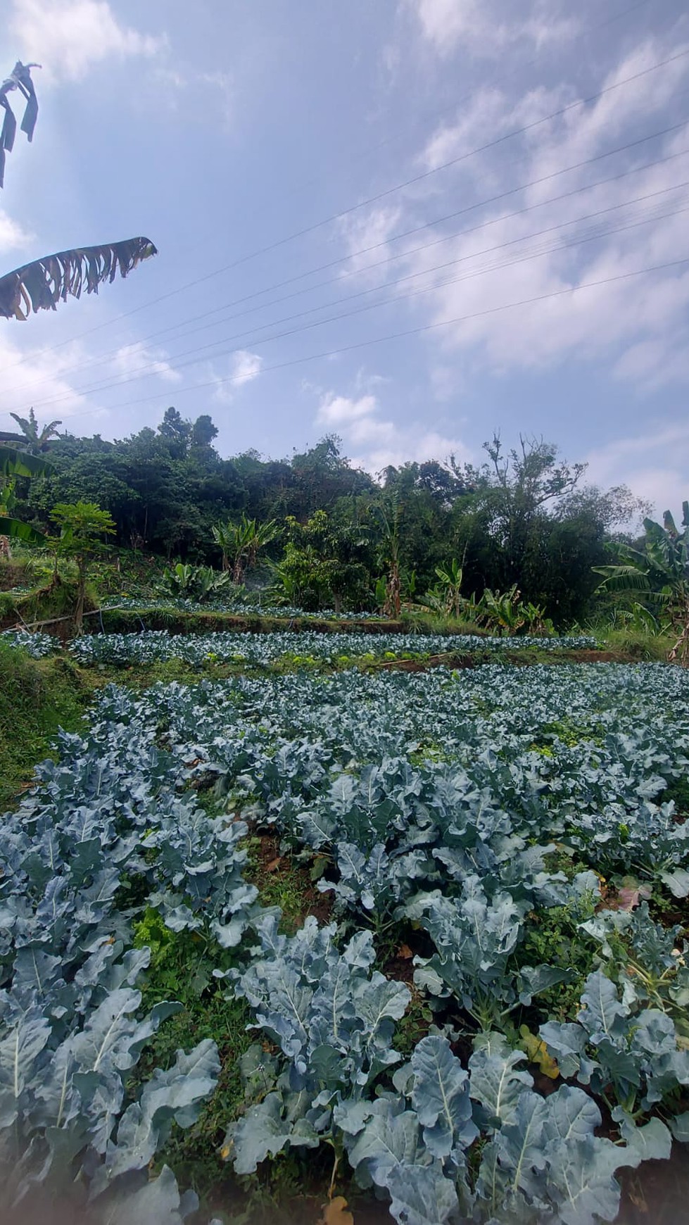 Kavling Siap Bangun di Lembah Bajuri, Bandung