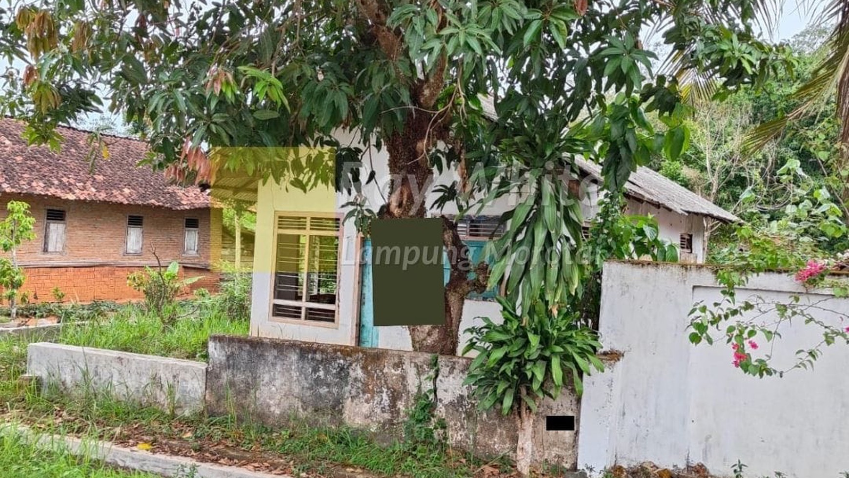 Dijual Tanah di Pinggir Jalan Raya Taman Nasional Way Kambas Lampung Timur