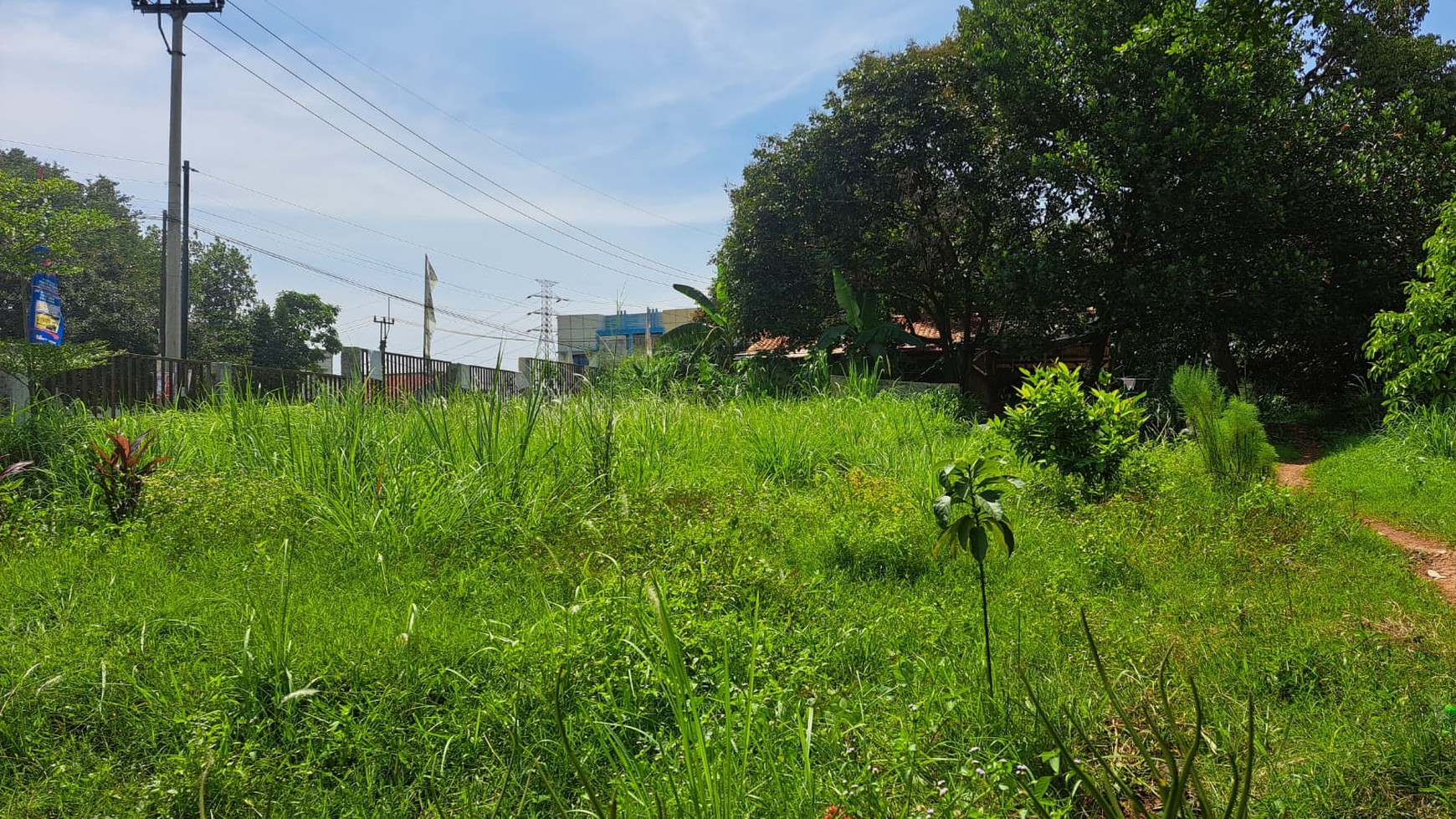 Dijual Tanah Luas di Rawakalong dekat perum Botanical Valley, Gunung Sindur Bogor