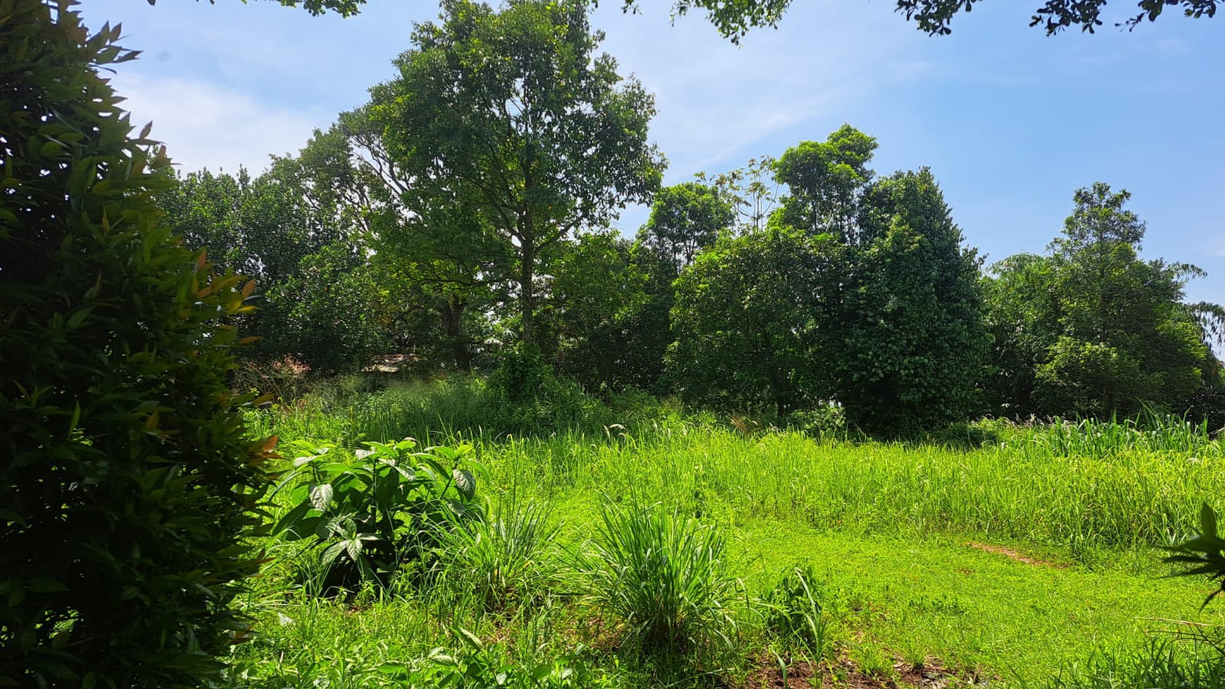 Dijual Tanah Luas di Rawakalong dekat perum Botanical Valley, Gunung Sindur Bogor