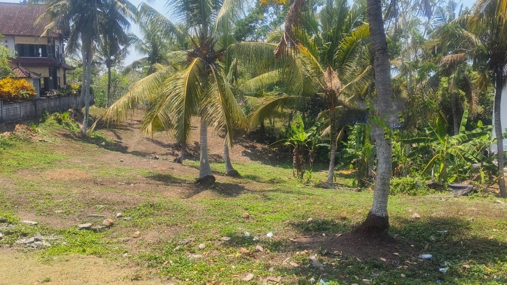 For Sale Freehold - Land 400 sqm for sale with Panoramic sea views in Selemadeg - Tabanan 