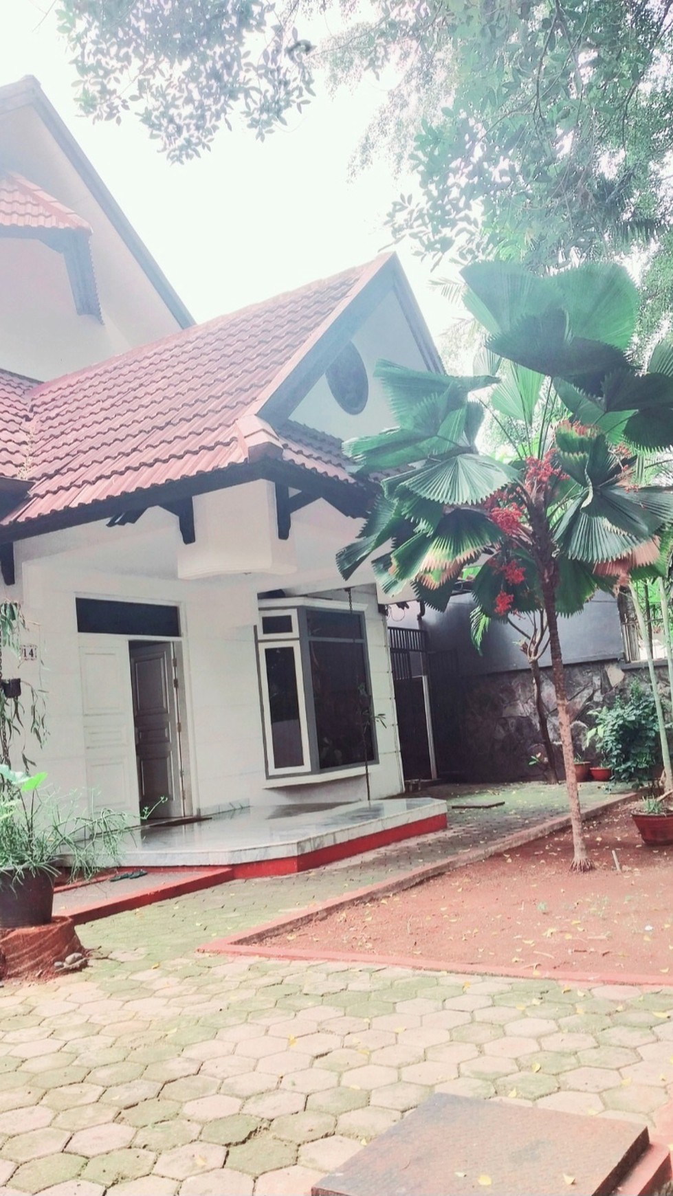 For rent: a good and comfort house in the premium Menteng area