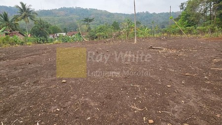 Dijual Tanah 1,3Ha ml