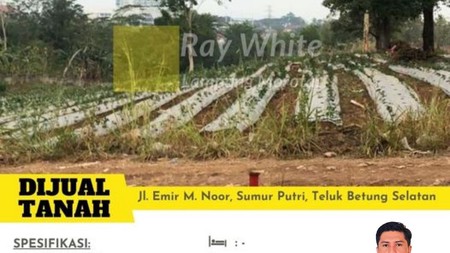 Dijual Tanah Pekarangan 2,3 Ha di Sumur Putri Teluk Betung harga 1,5 Juta/meter