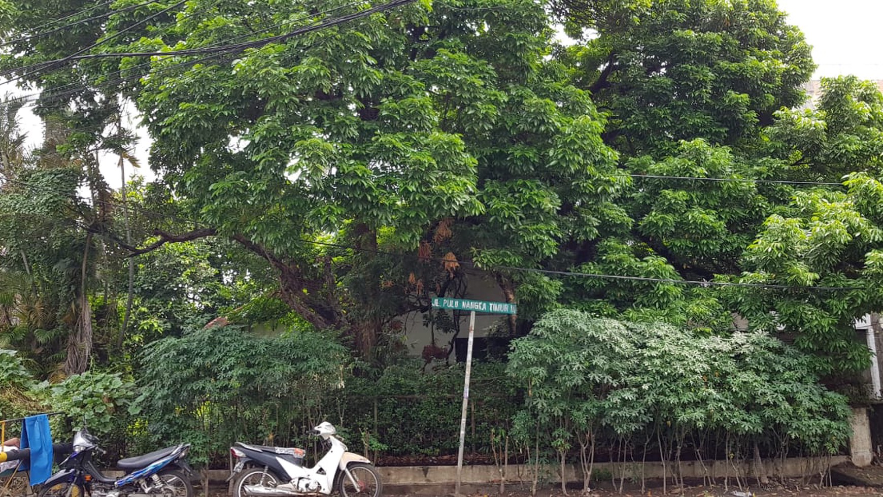 Rumah Tua, dengan lingkungan ASRI tenang cocok untuk hunian .....