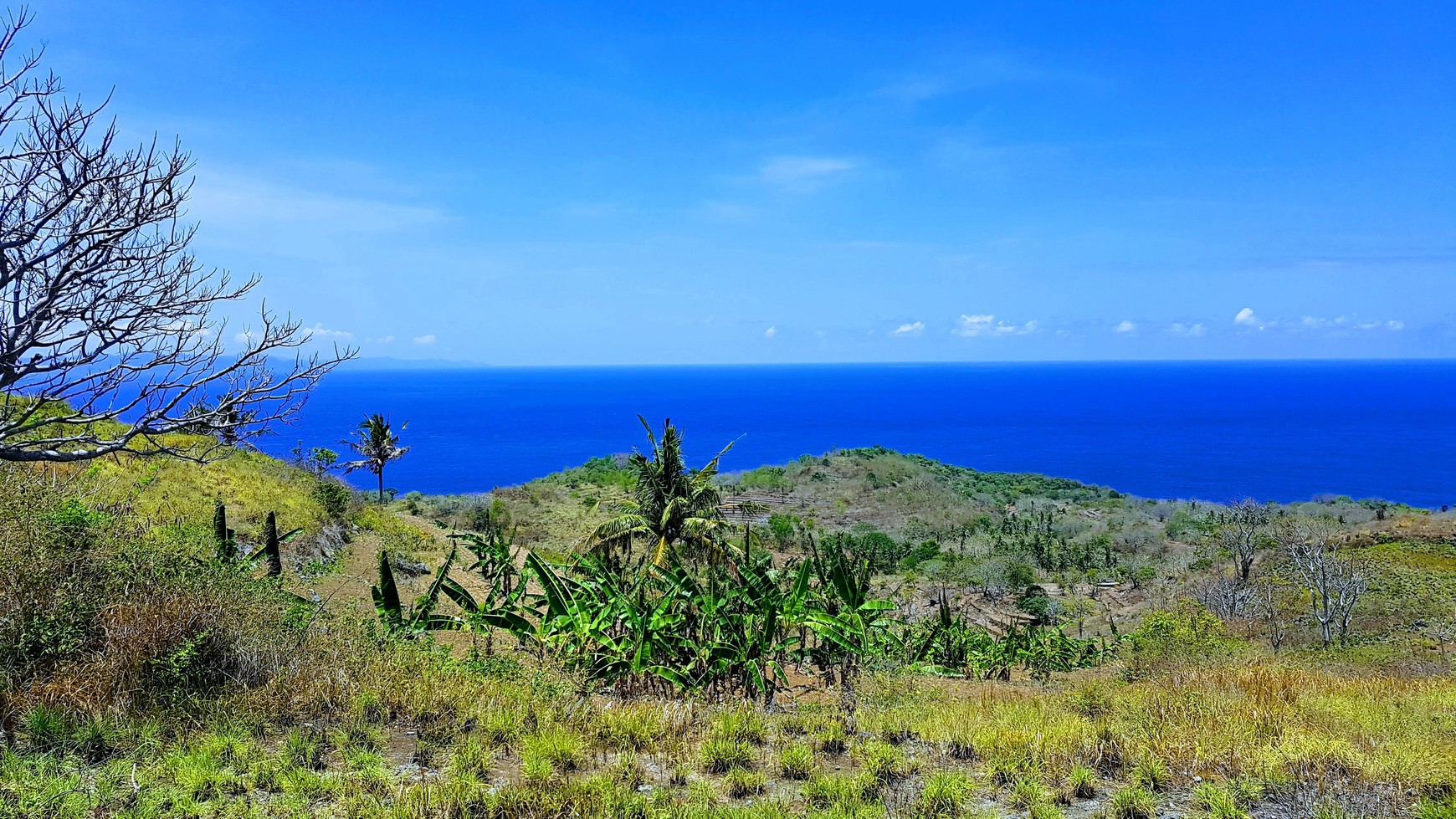 Freehold - Exclusive Offer! 25% Discount on Prime Ocean View Land in Nusa Penida Bali