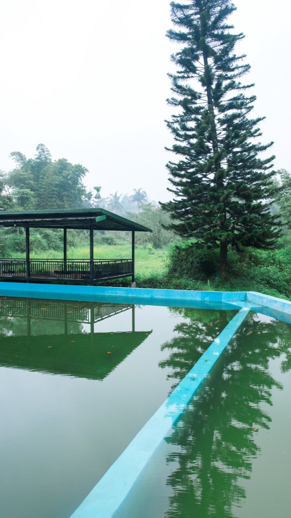 Dijual Villa dengan Pemandangan Sejuk dan Udara Sejuk @Megamendung