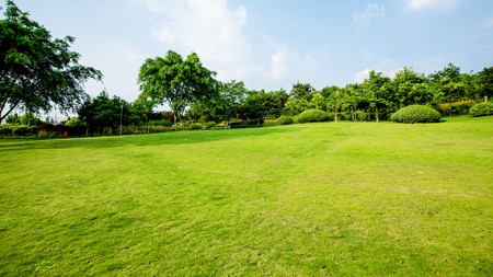 Tanah murah 22.000 meter Narimbang, RangkasBitung