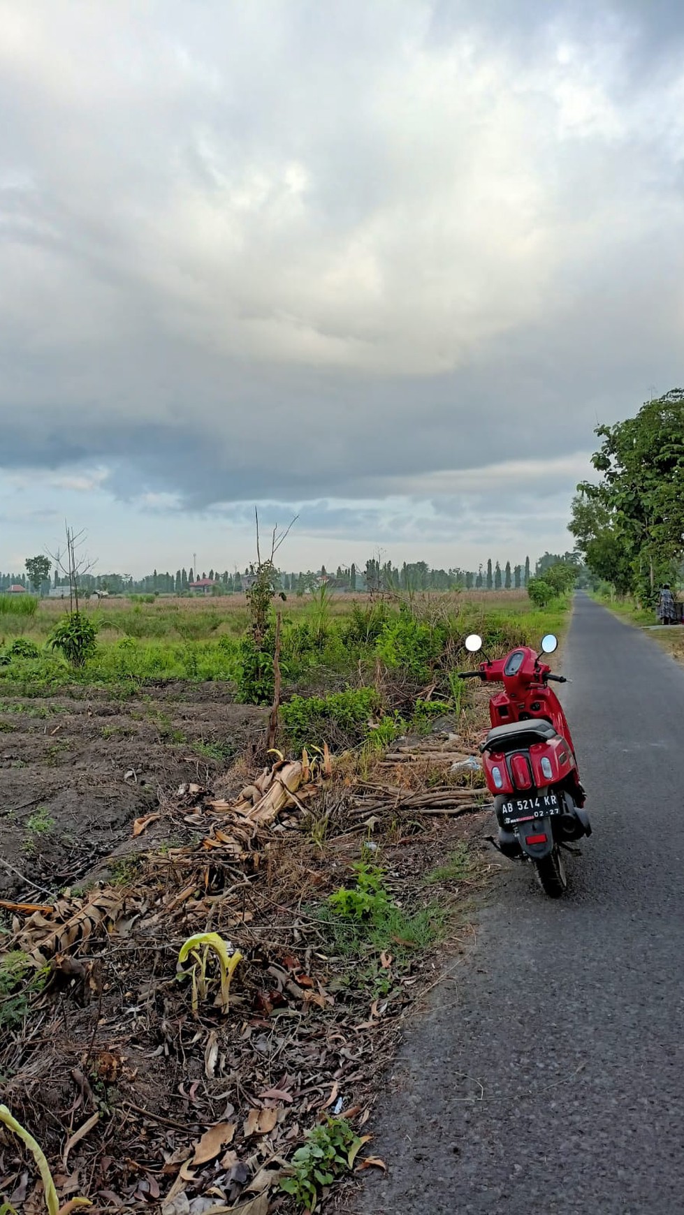 Tanah Sawah Seluas 1507 Meter Persegi Lokasi Ganjuran Bantul